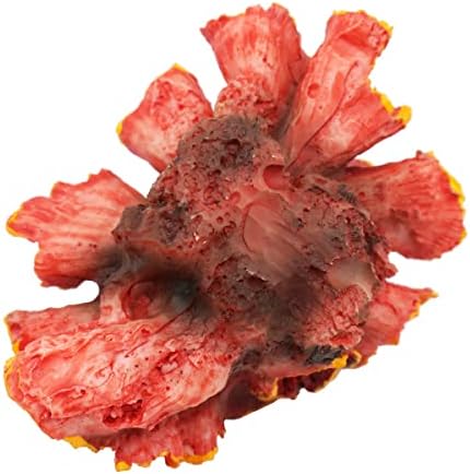 Vue 6 de Simulation Artificielle Decor De