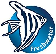 Vue 3 de Hobby Ludwigia Plante Daquarium