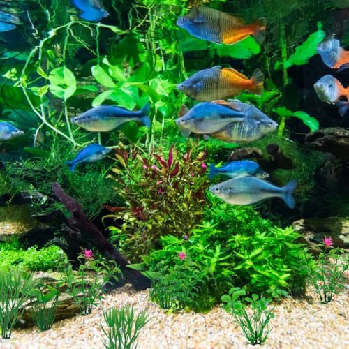 Vue 7 de Plante Aquarium Artificielle Petites