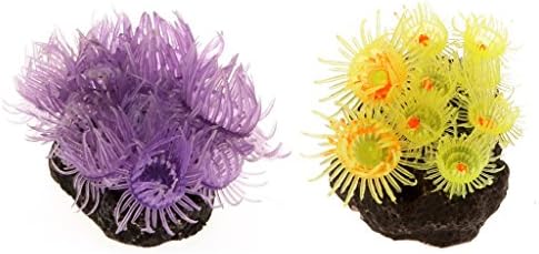 Vue 4 de Anemone De Mer Dynamique