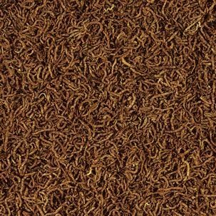 Vue 2 de Tropical Fd Blood Worms