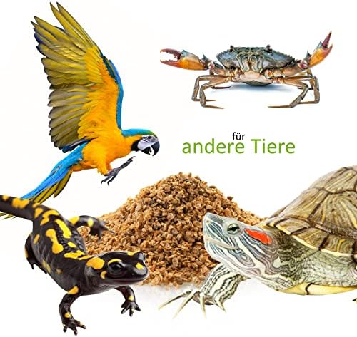 Vue 4 de Ugf Daphnies De Qualite