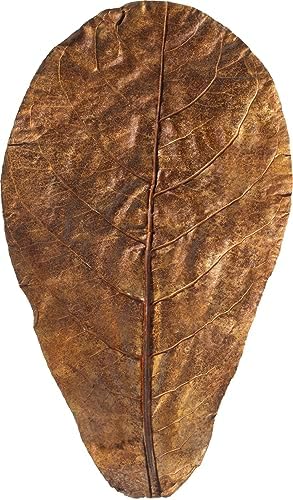 Vue 4 de Arka Myscapecatappa Lot De