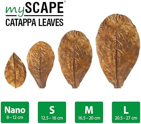 Vue 7 de Arka Myscapecatappa Lot De