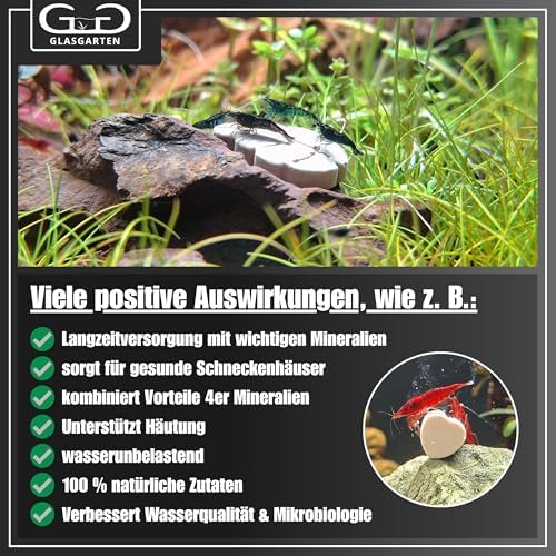 Vue 5 de Glasgarten Mineral Mix Pieces