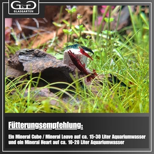 Vue 6 de Glasgarten Mineral Mix Pieces