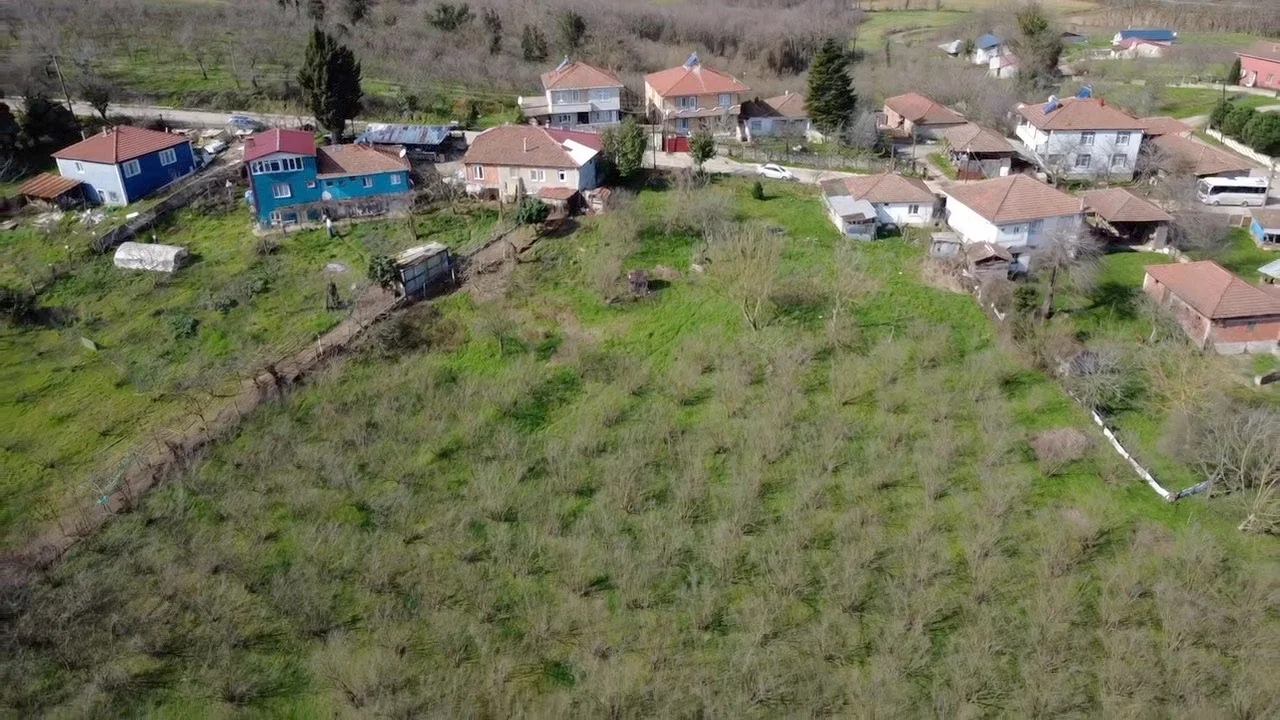 SÖĞÜTLÜ/HASANFAKIDA YATIRIM AMAÇLI YOL KENARI SATILIK ARSALAR