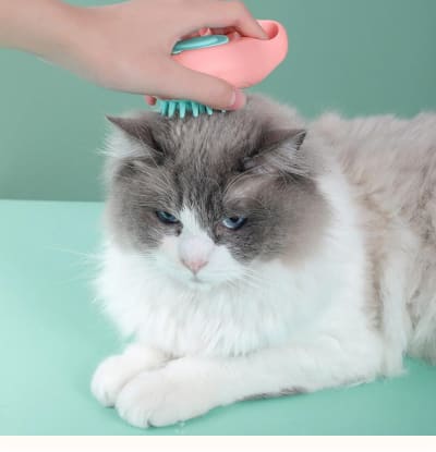 Katzenpfoten-Badebürste für sanfte Fellpflege - Premium Produkt bei AlltagsGold Schweiz