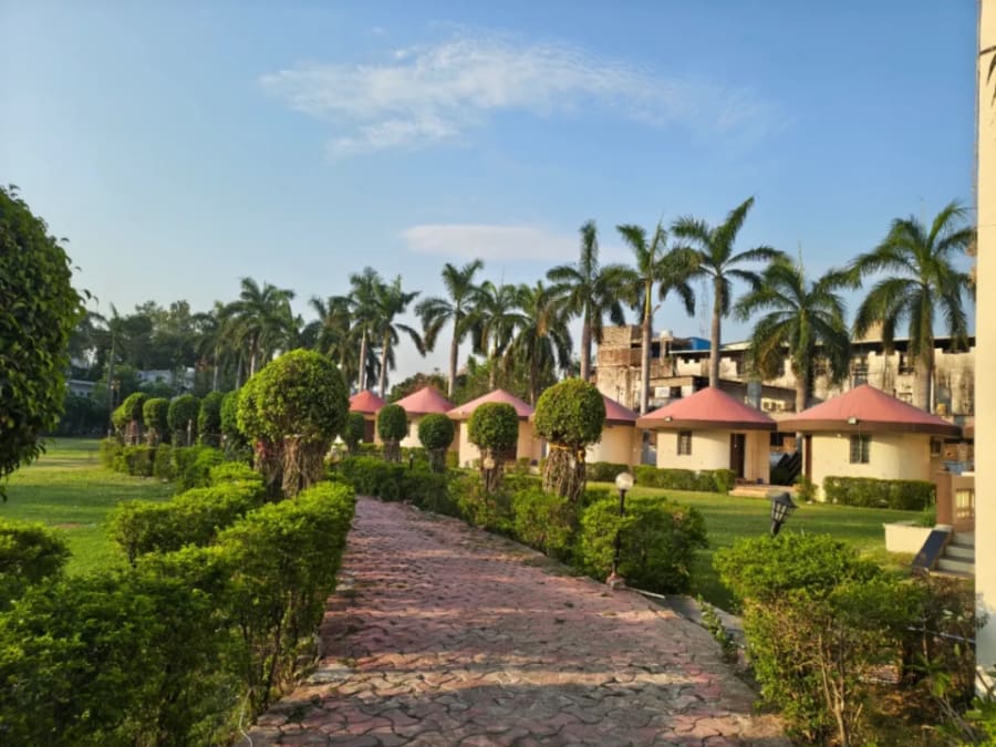 The Dream Palace Photo 3