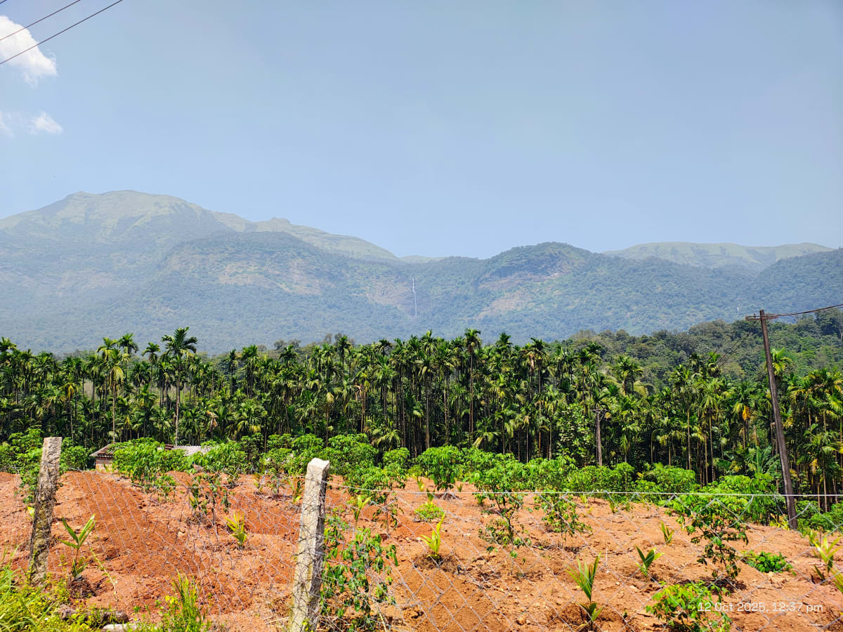 Kodachadri hills, Byndoor