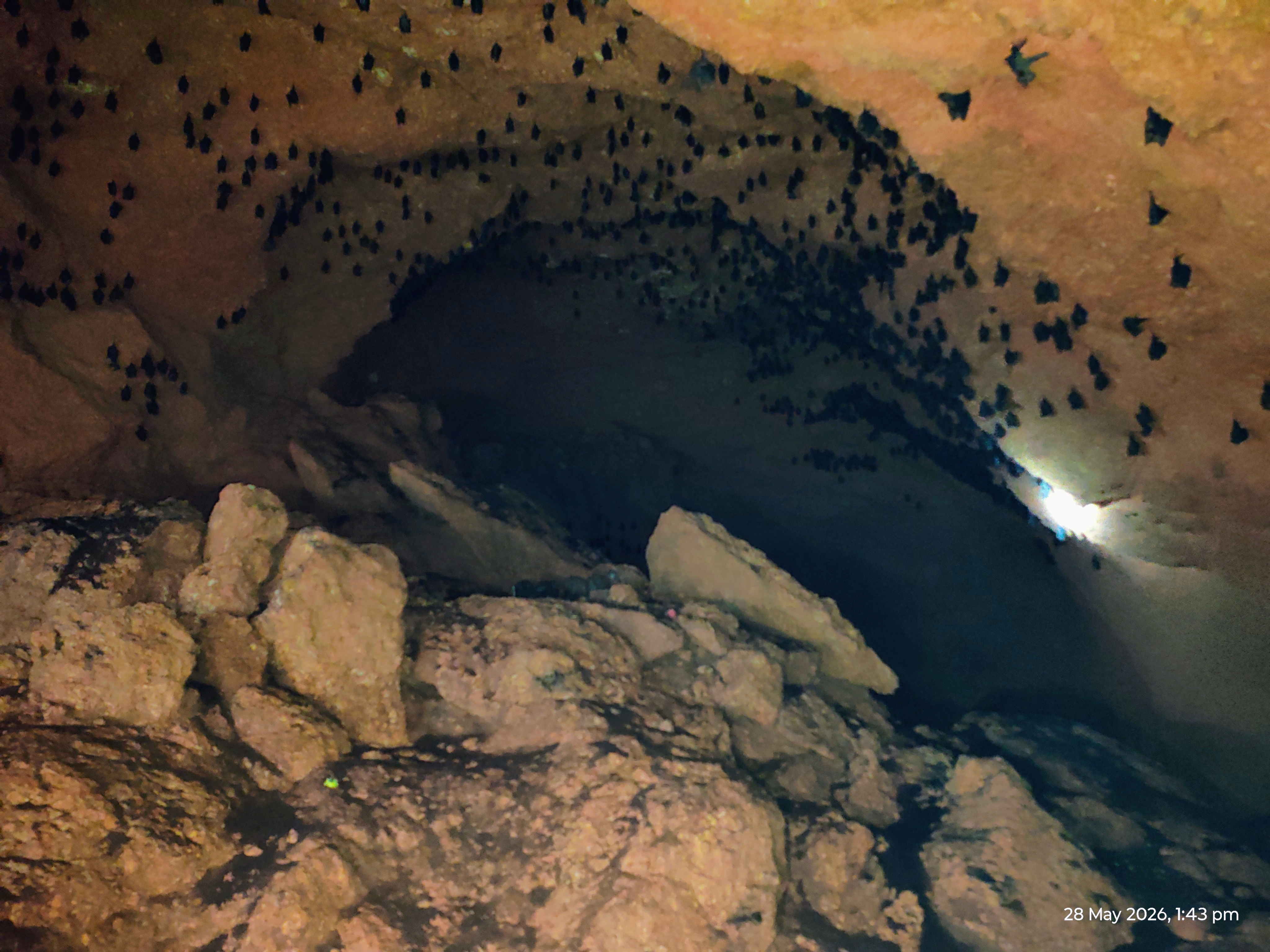 Kamalashile Suparshva Cave Temple photo 3
