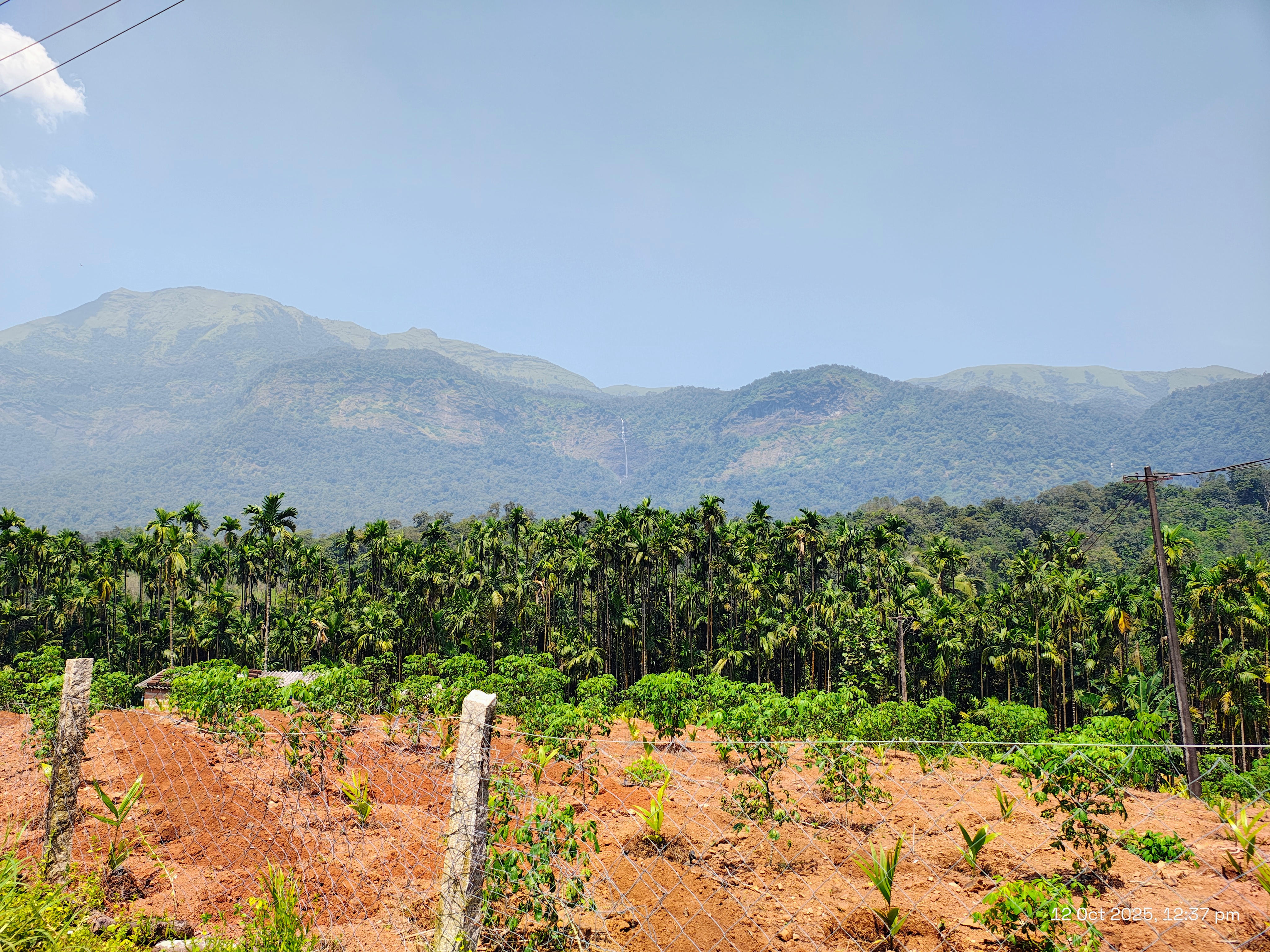 Kodachadri hills, Byndoor
