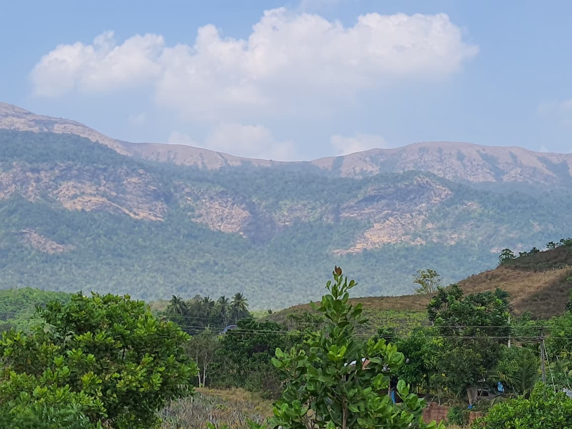 Kodachadri hills photo 2