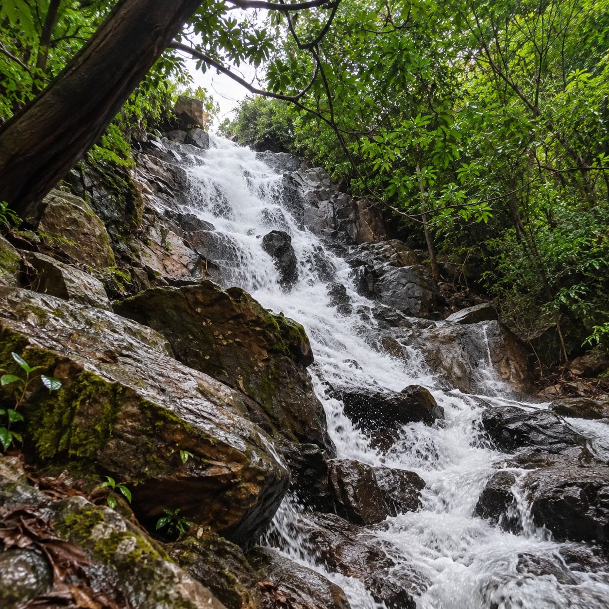 Gulnadi falls, Byndoor
