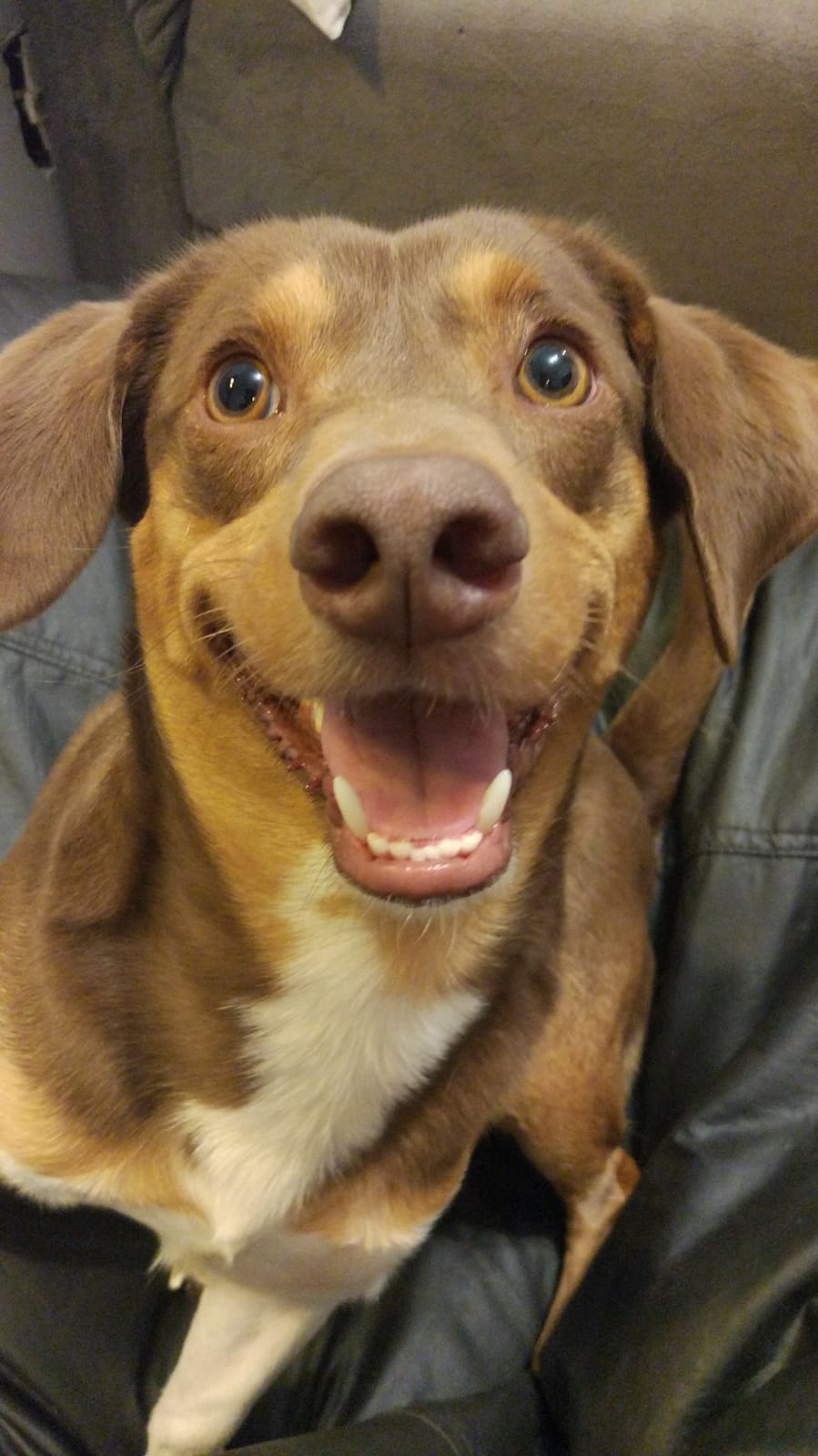 A Jornada Continua - foto 2