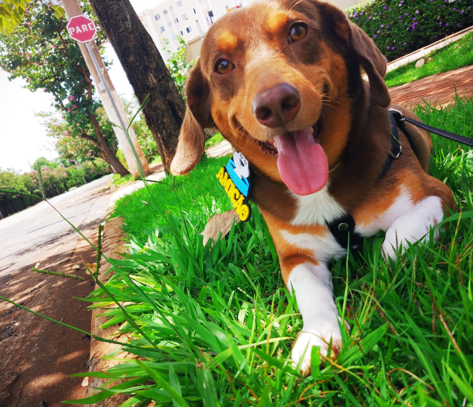 A Pergunta de 1 Milhão de Dólares - foto 2