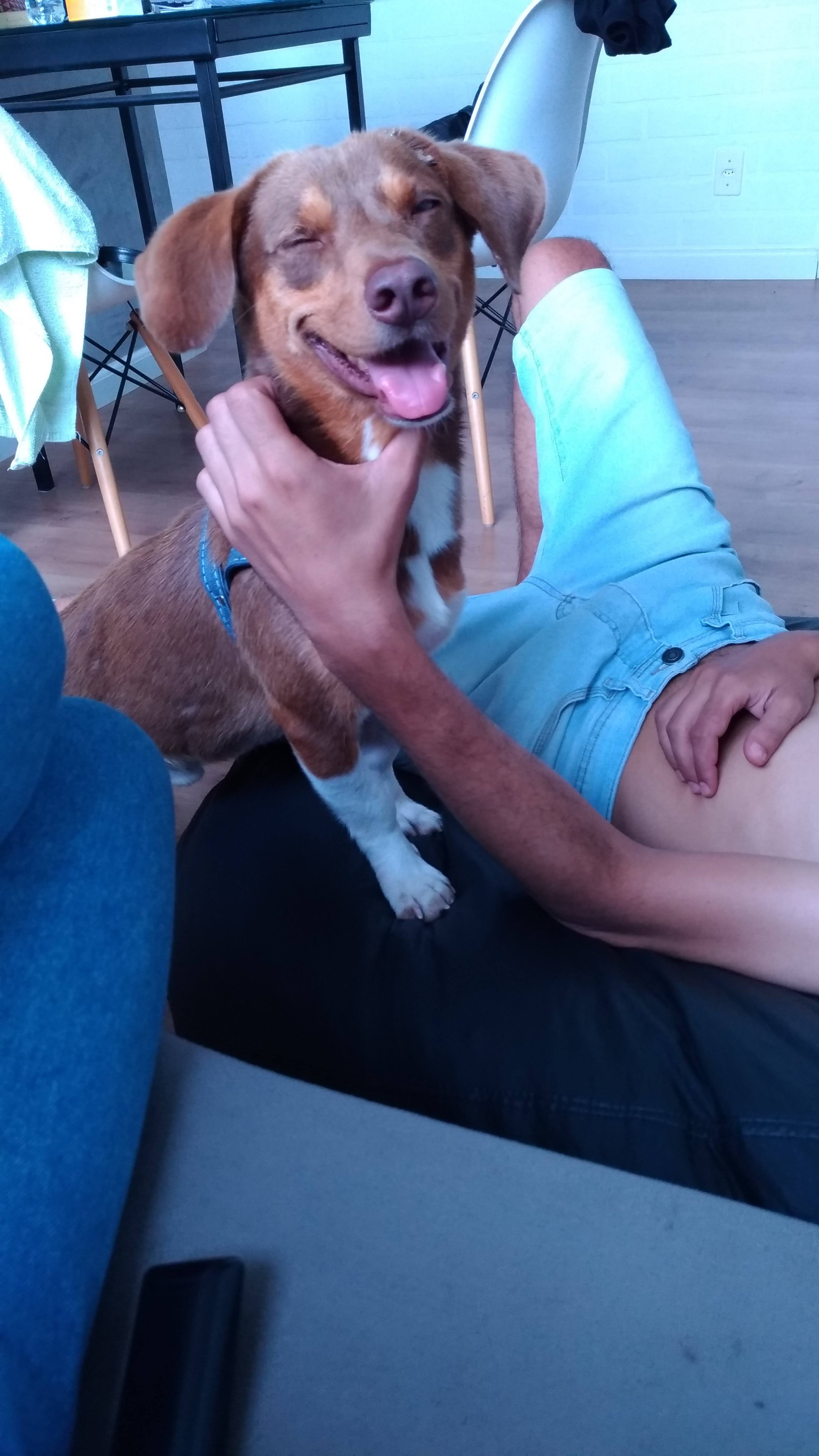 2020: O Encontro com Ébano - foto 3