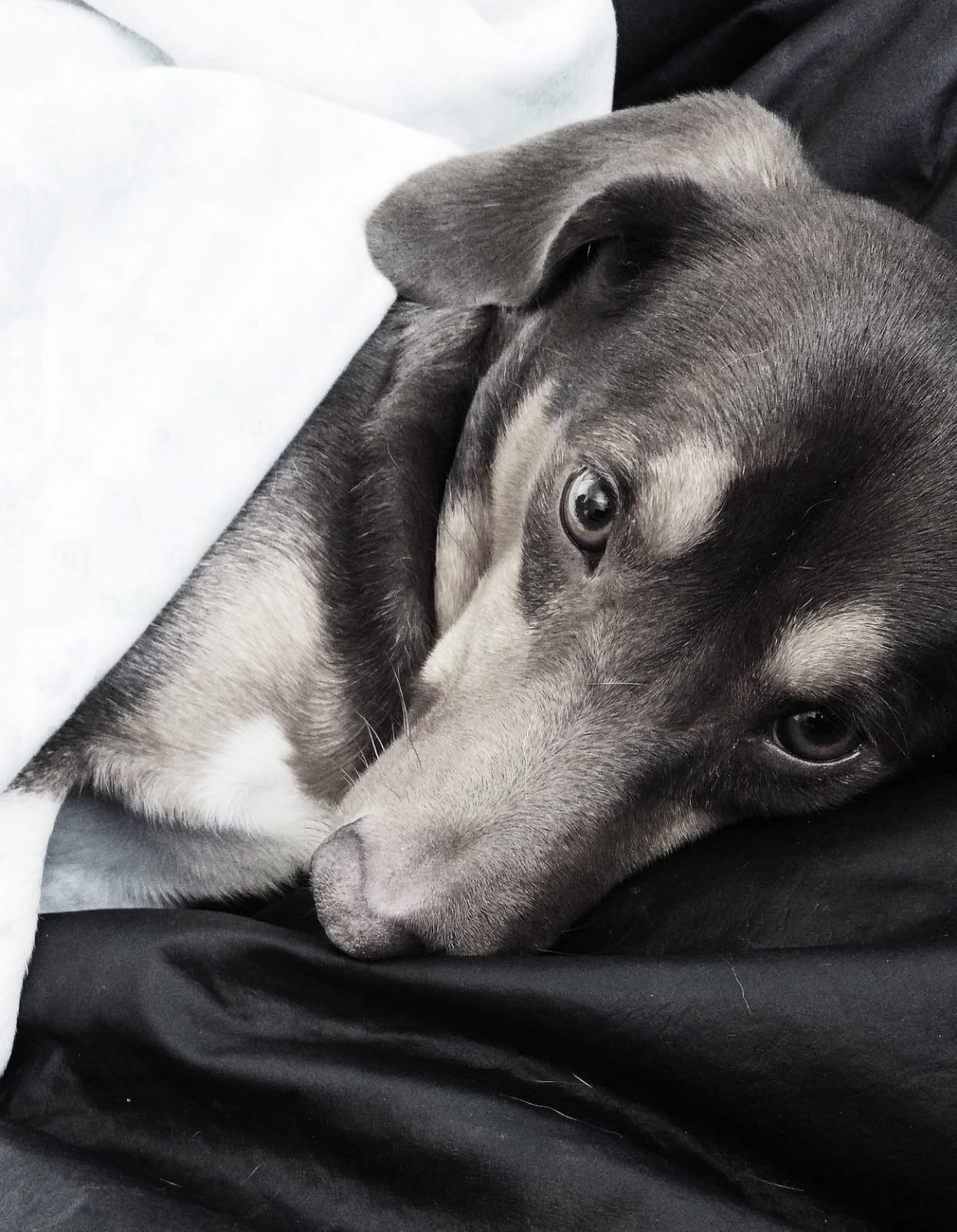 Raízes: Música e Tecnologia - foto 2