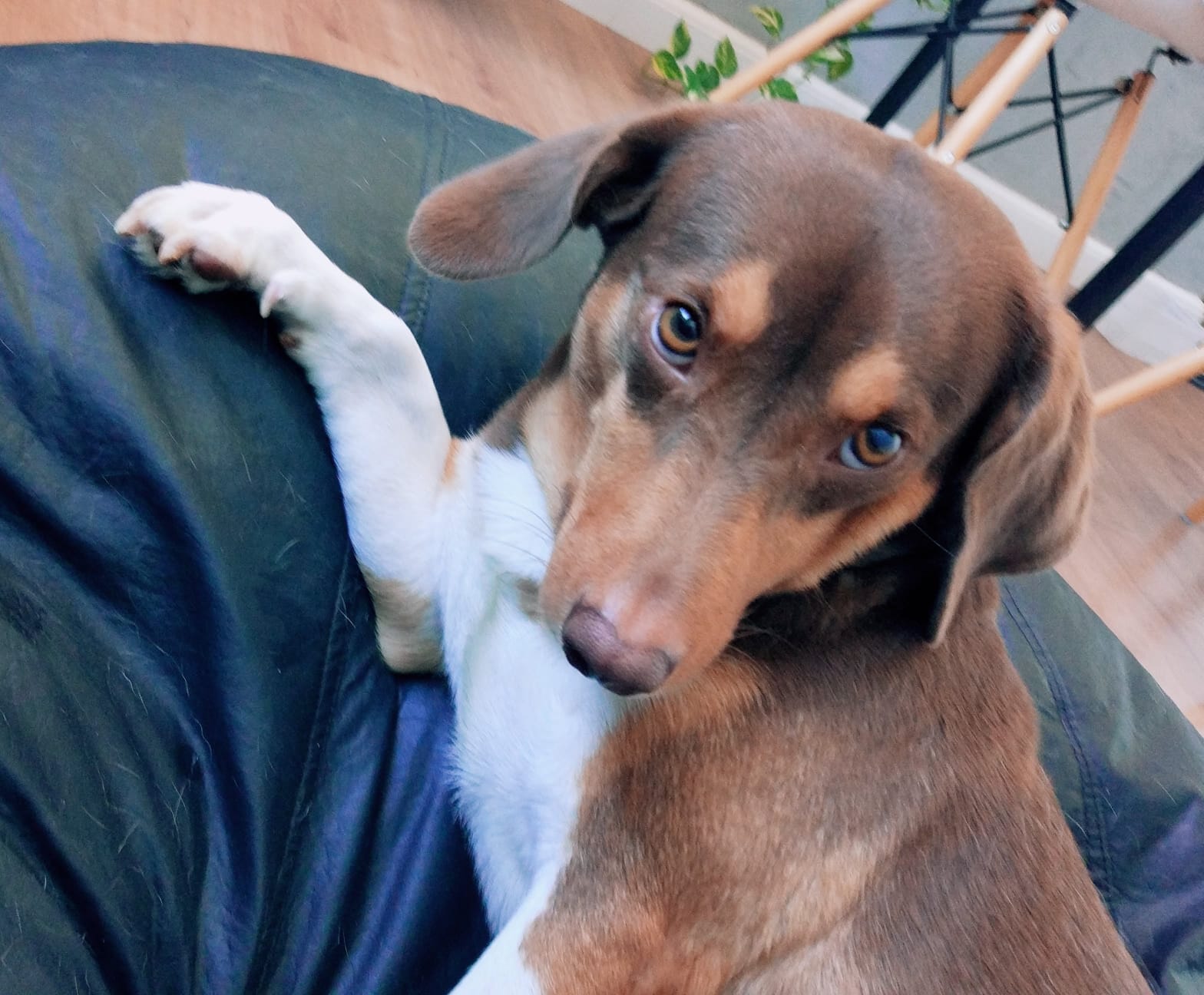 Raízes: Música e Tecnologia - foto 1