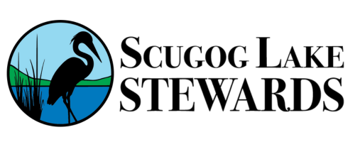Scugog Lake Stewards organization picture