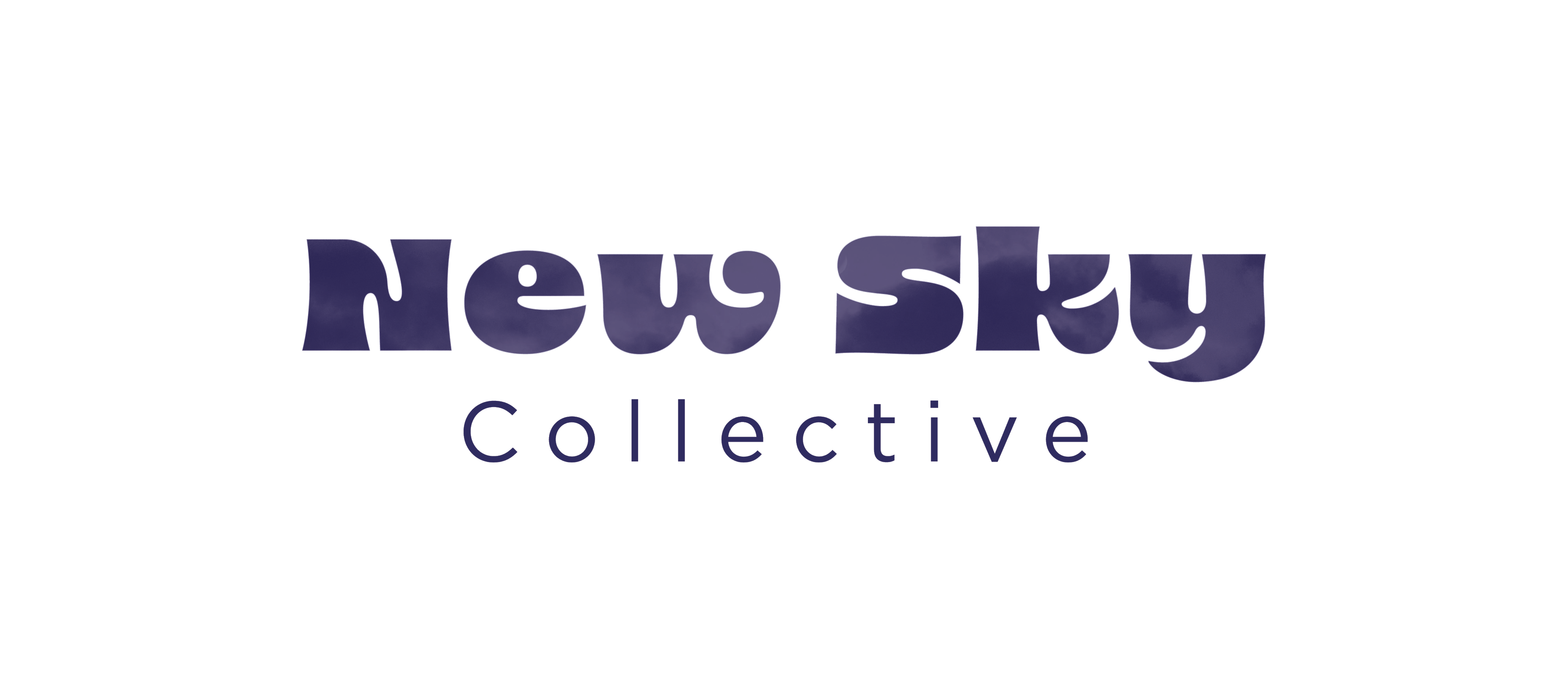 New Sky Collective organization picture