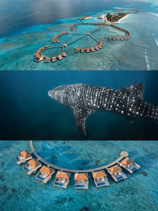Maldives resort aerial photography by Filippo Bellisola
