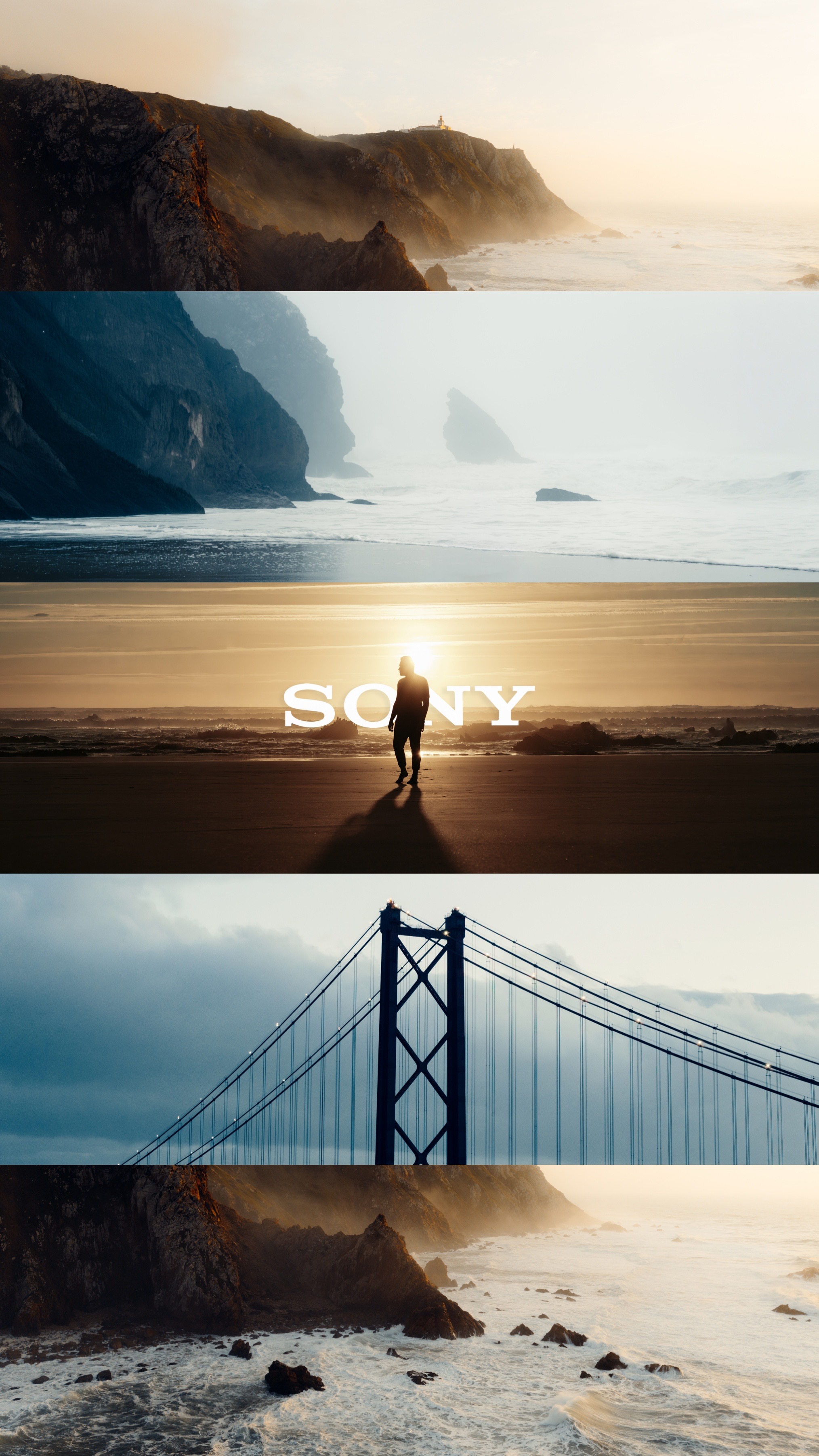 SONY