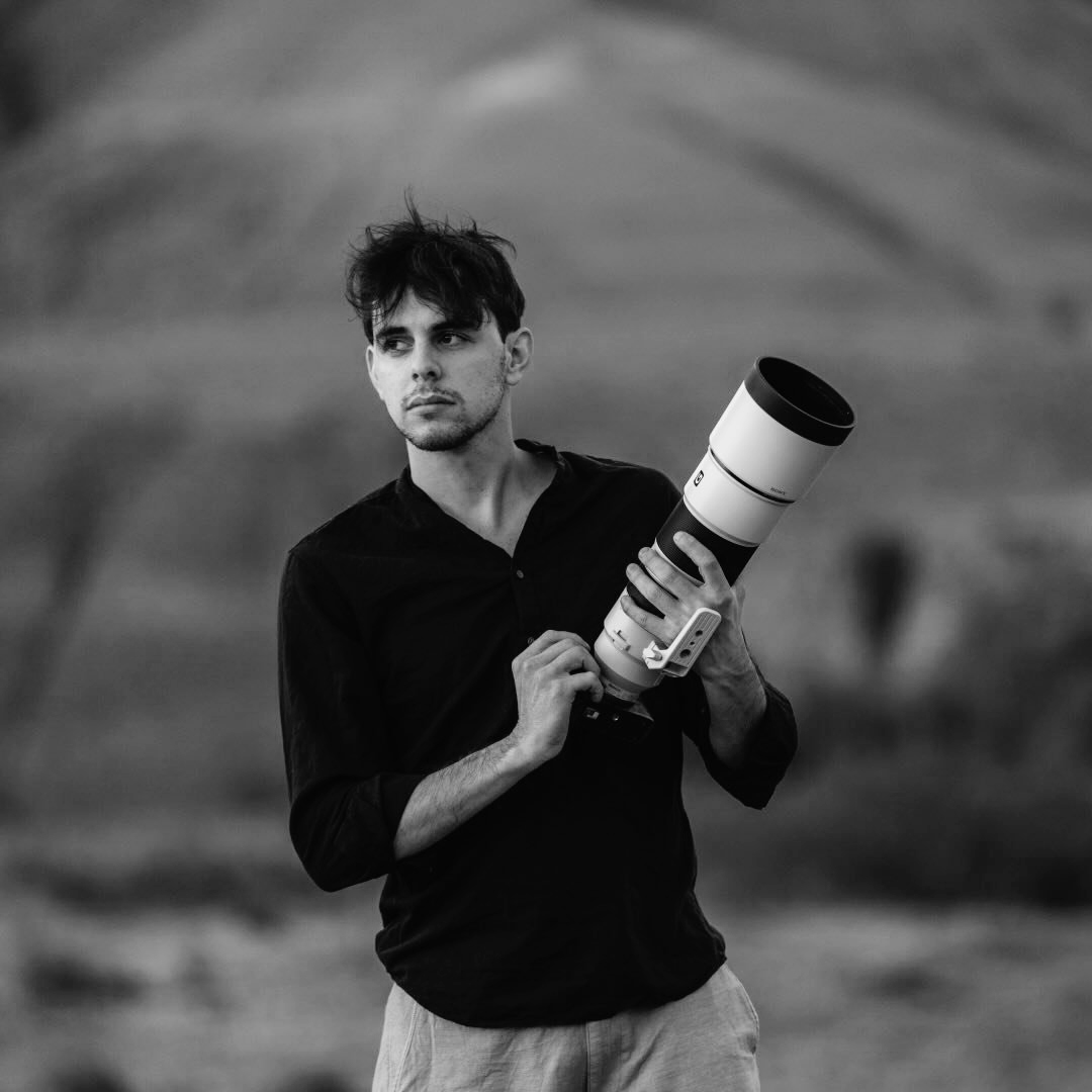 MARCO BRENTEGANI — Dream Films