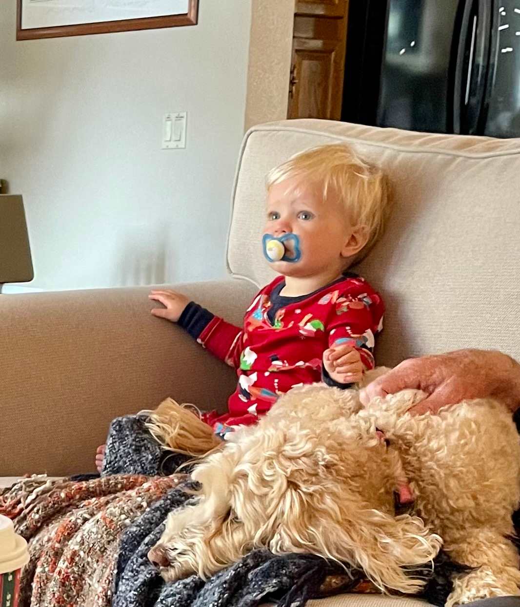 Couch Crew