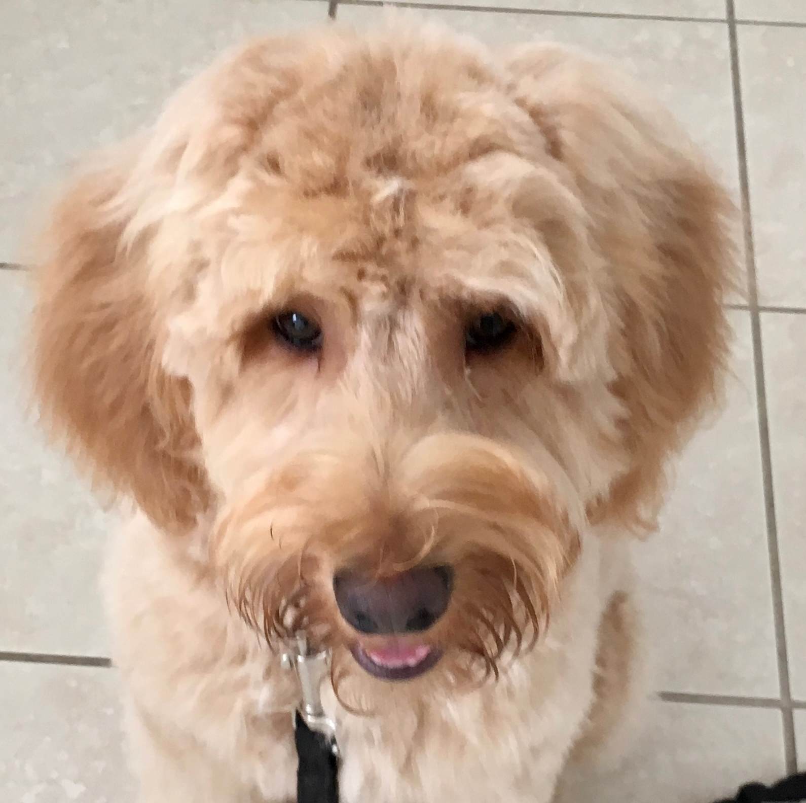 Those Eyes