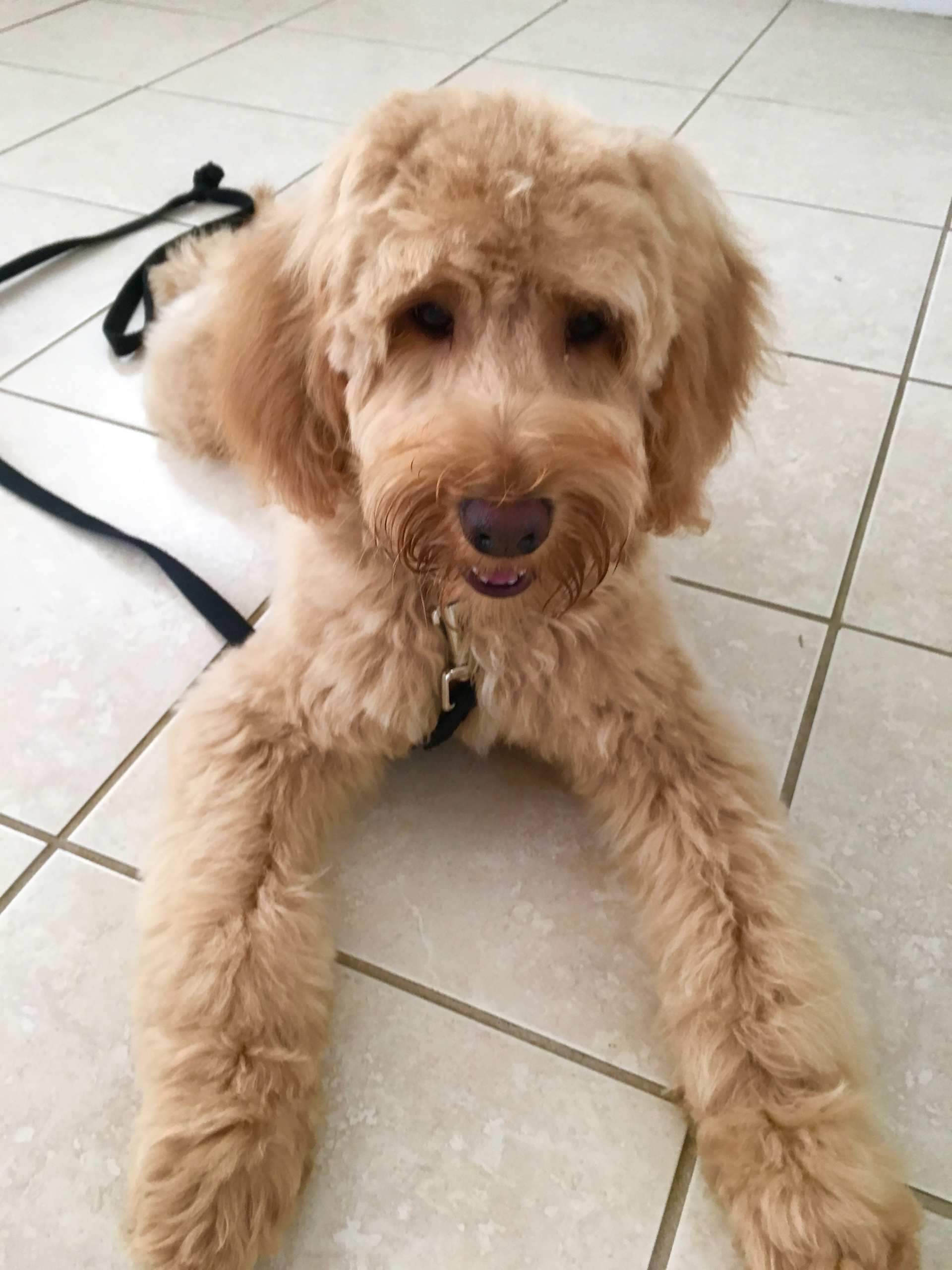 Tile Floor Sweetness