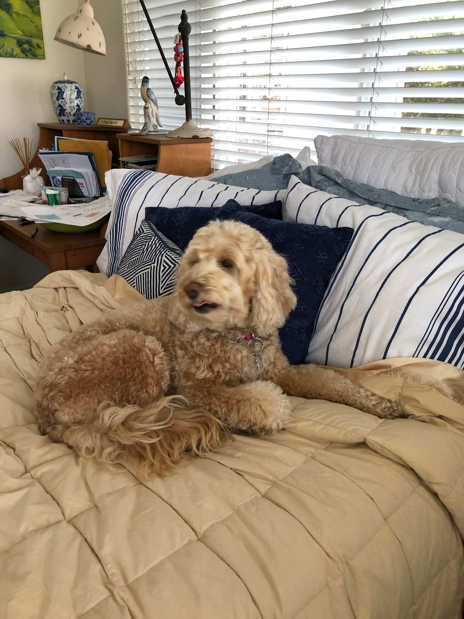 Bedroom Snuggle Session