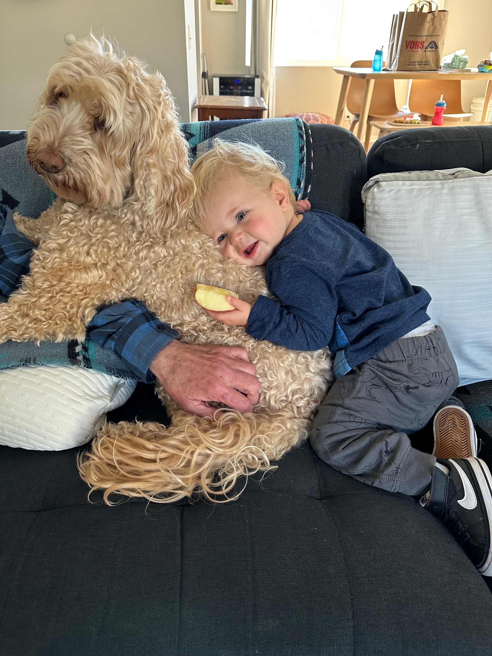 Gracie, the Best Pillow