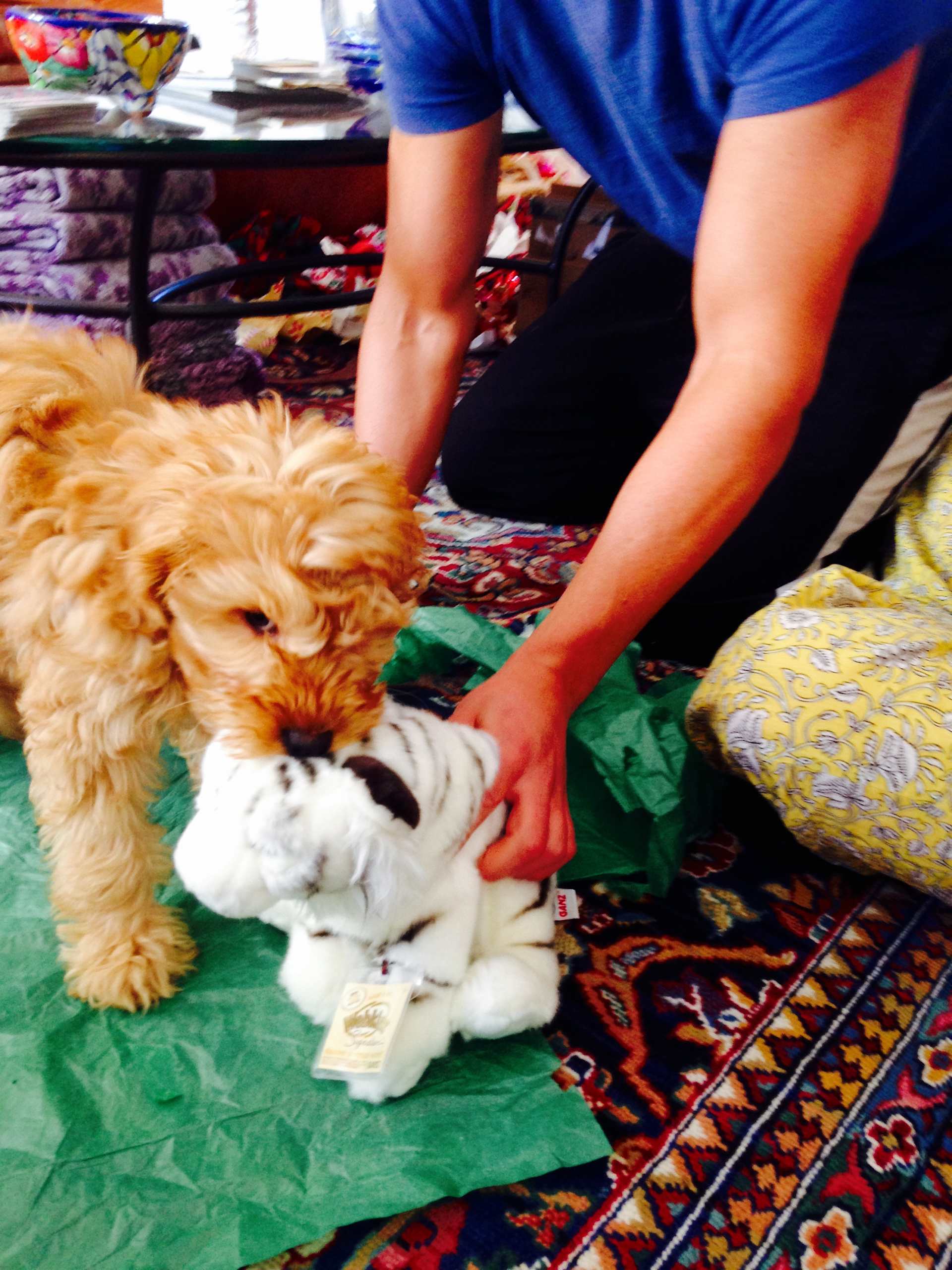 New Toy Inspection