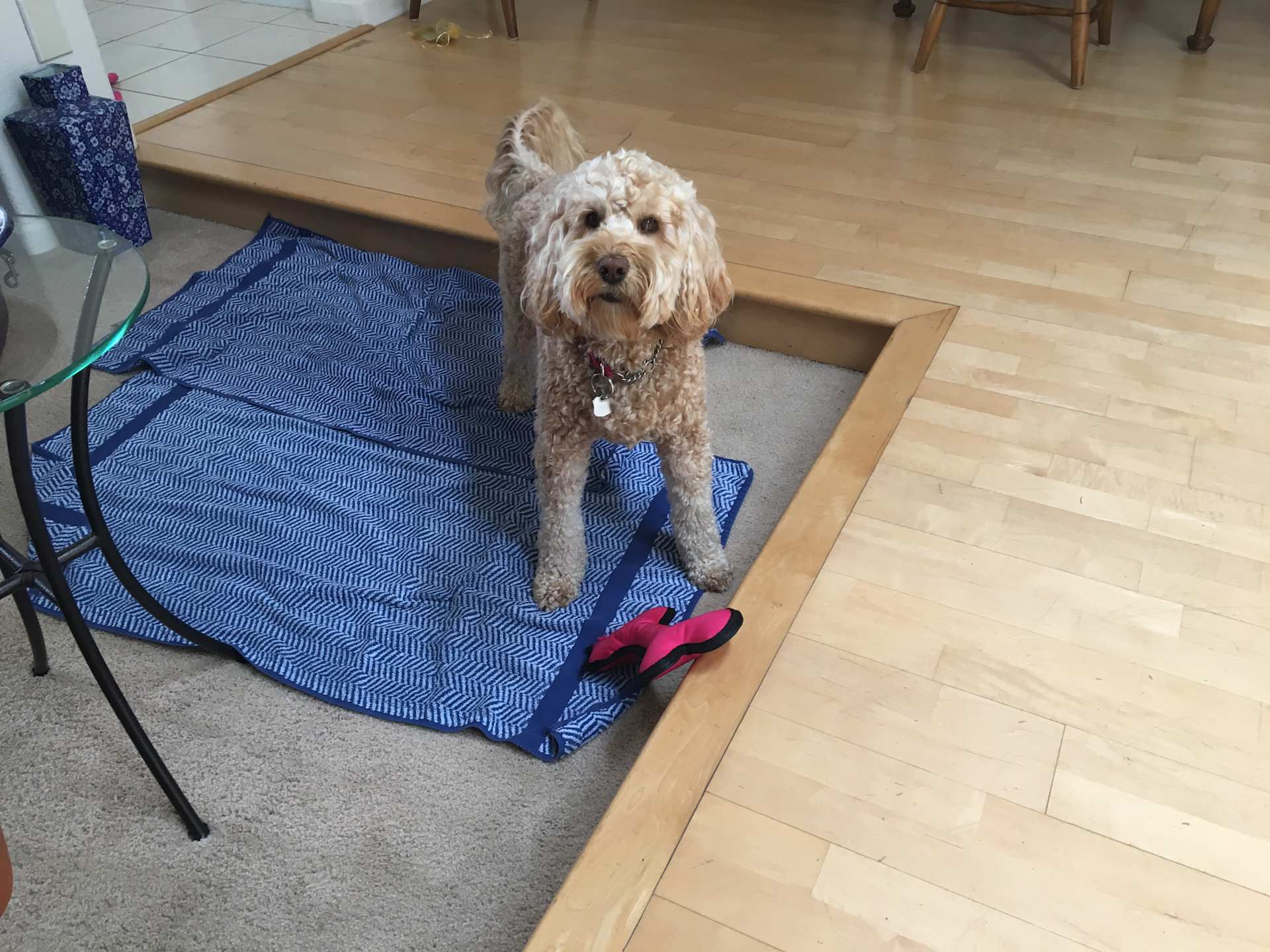 Ready for Adventure