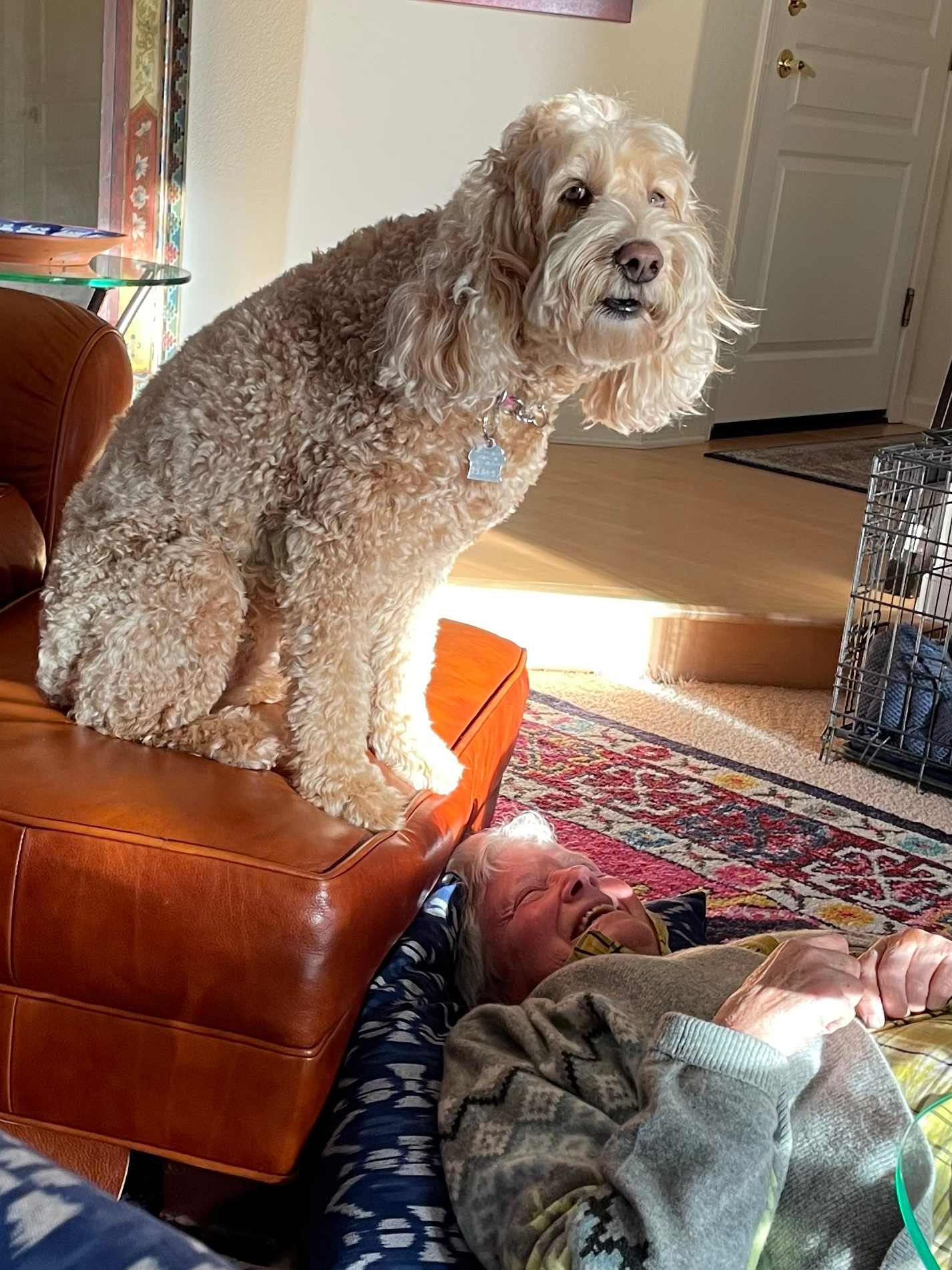 Perch of Power