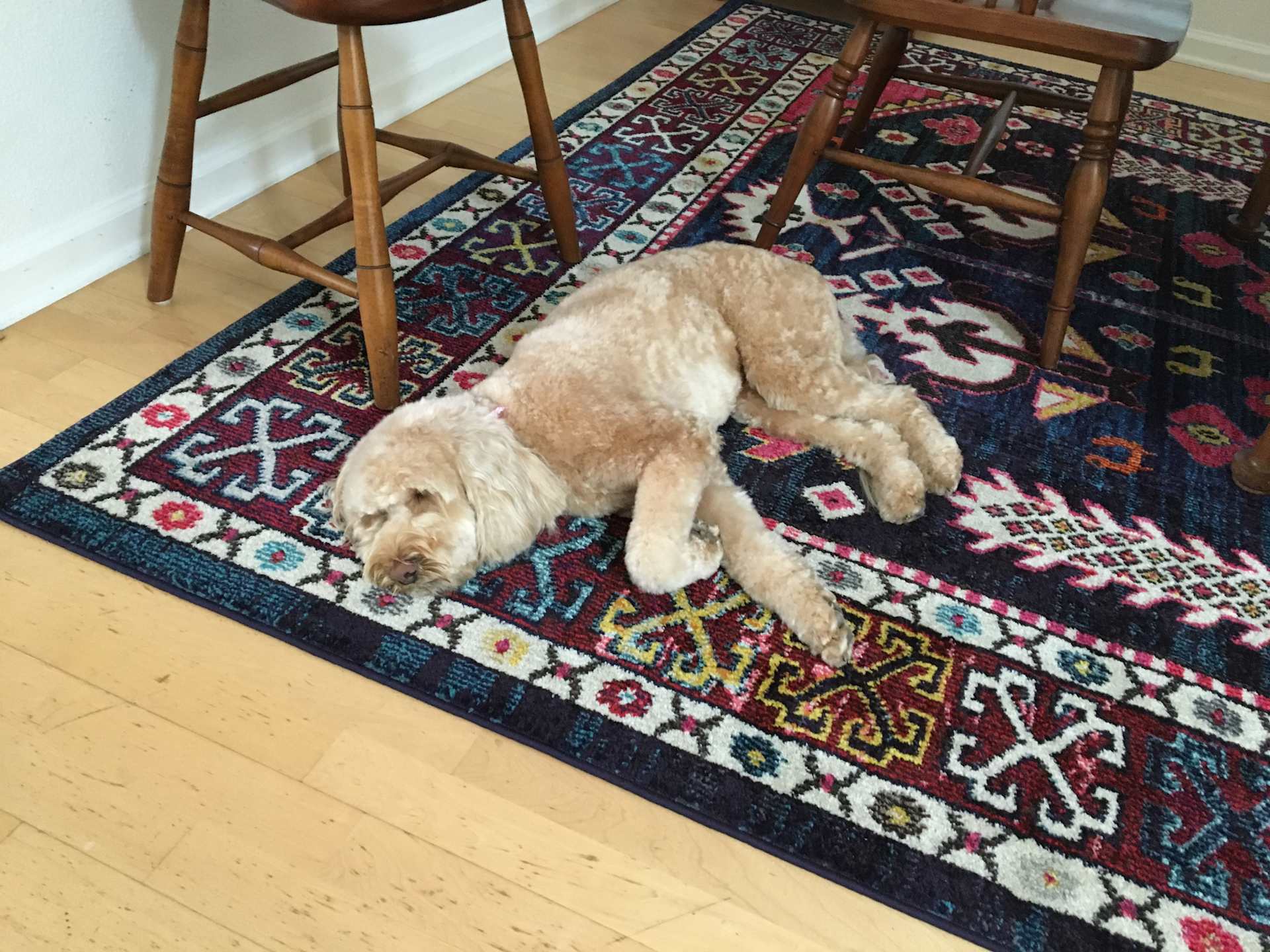 Rug Roll