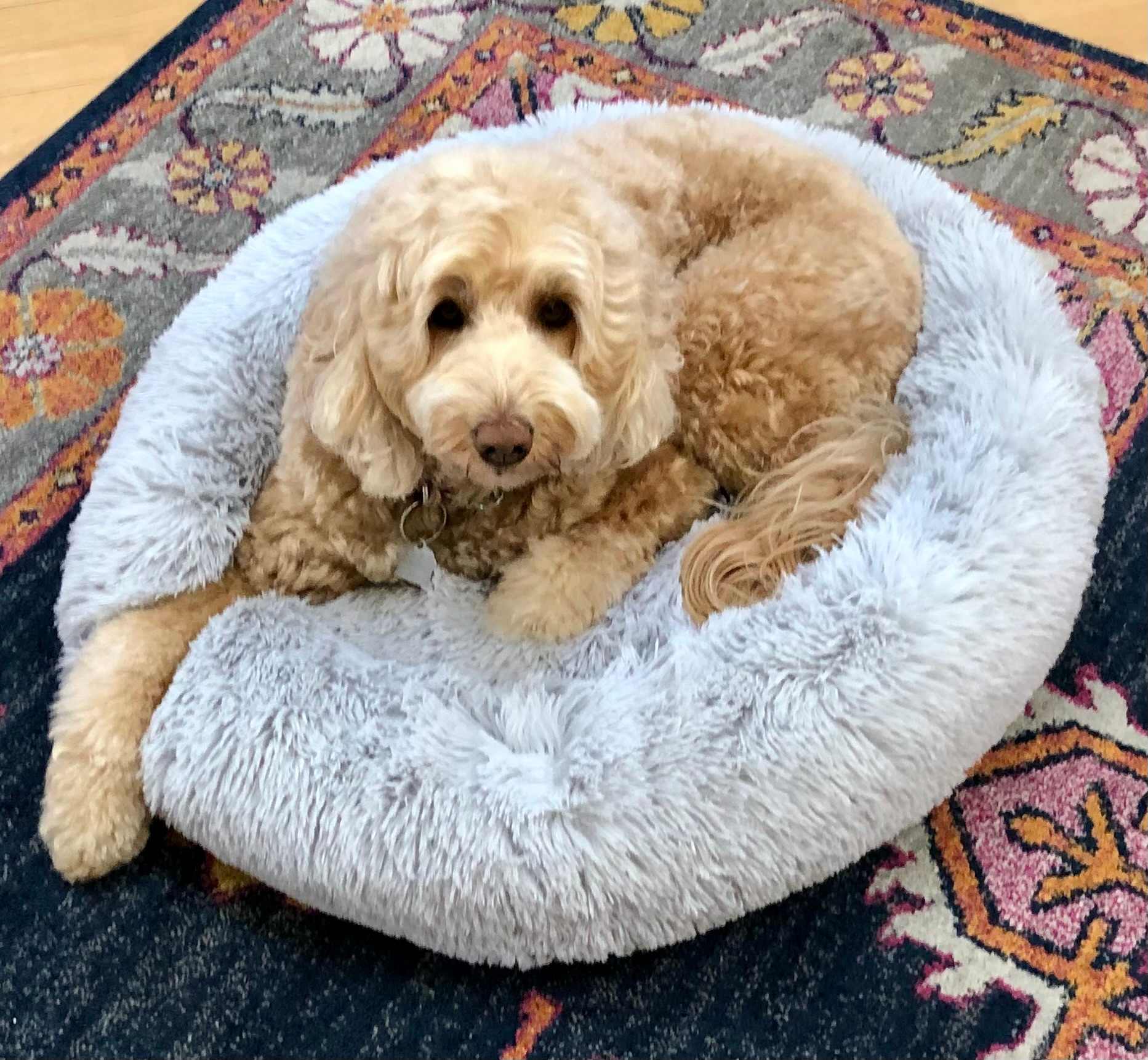 Queen of the Fluff Bed
