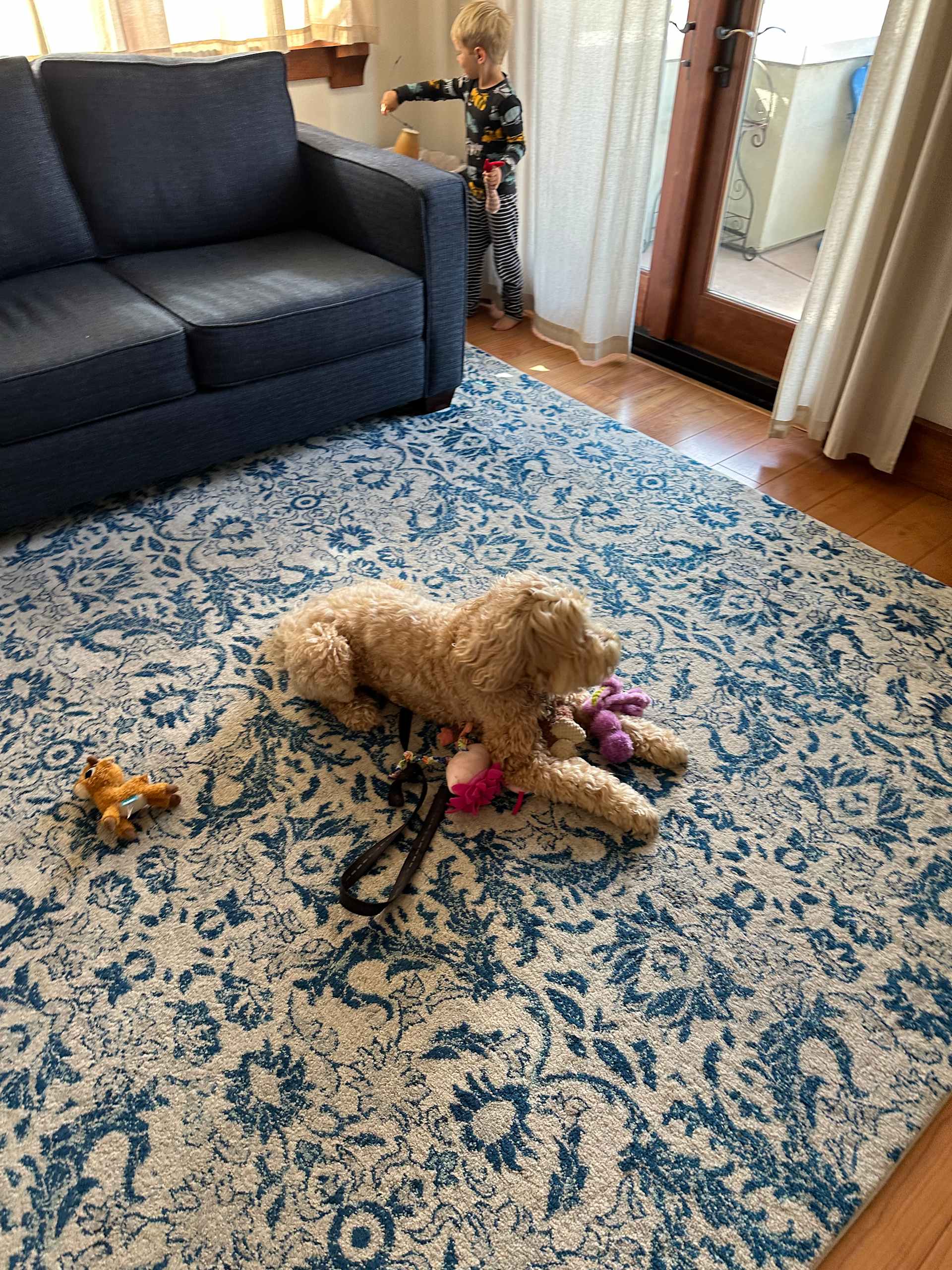 Toy Time on the Rug