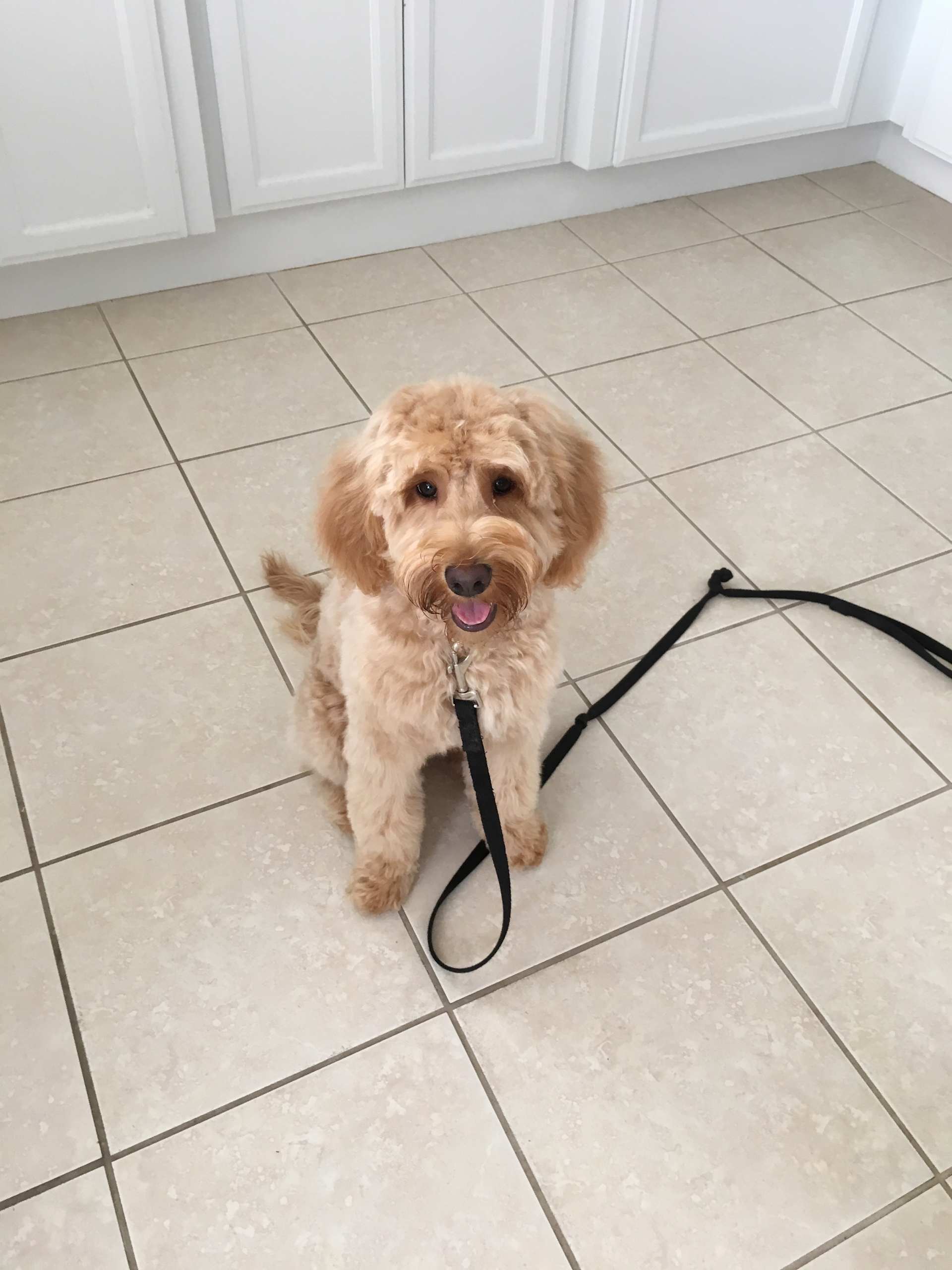 Ready to Go Home