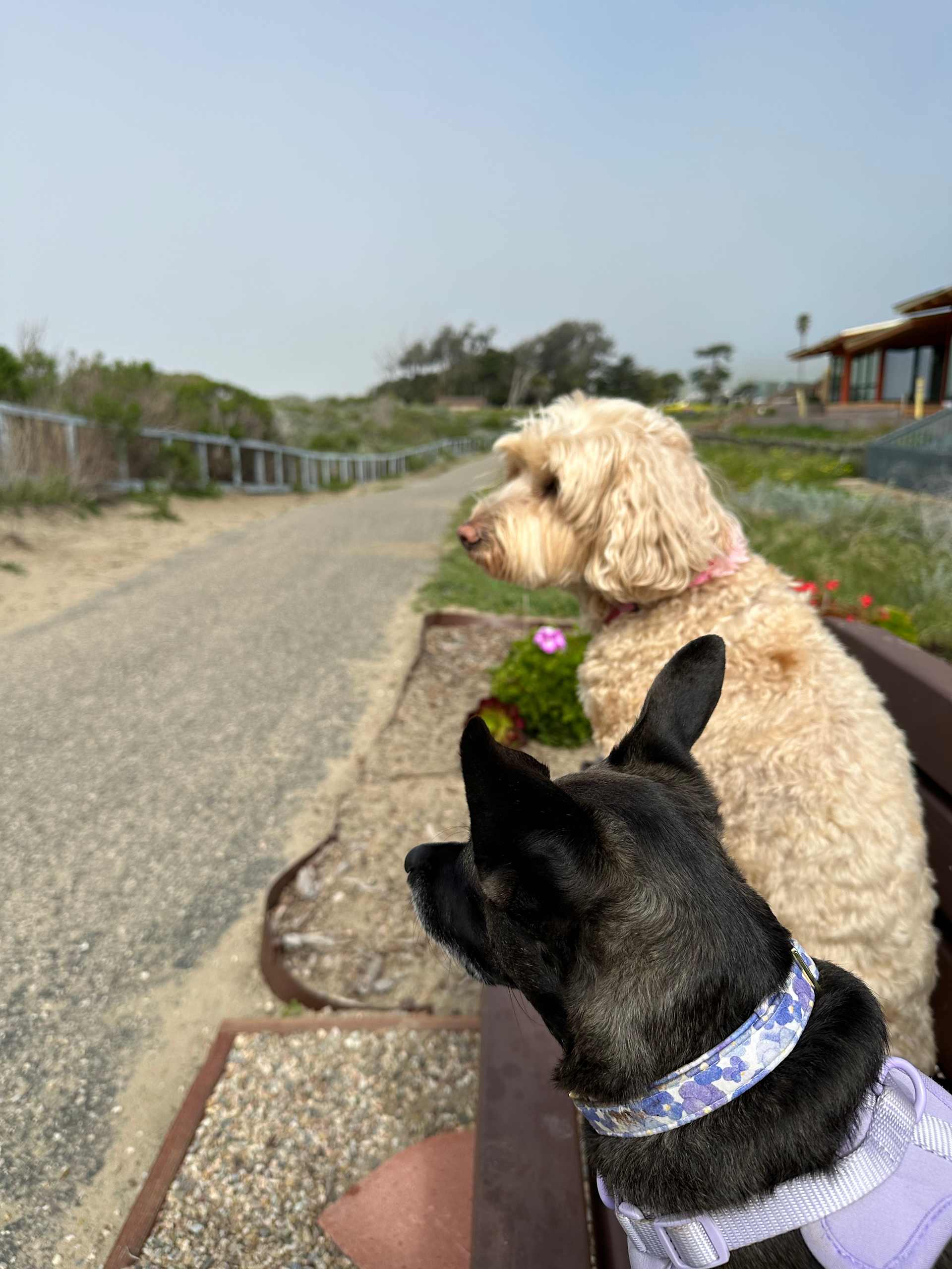 Making a New Friend