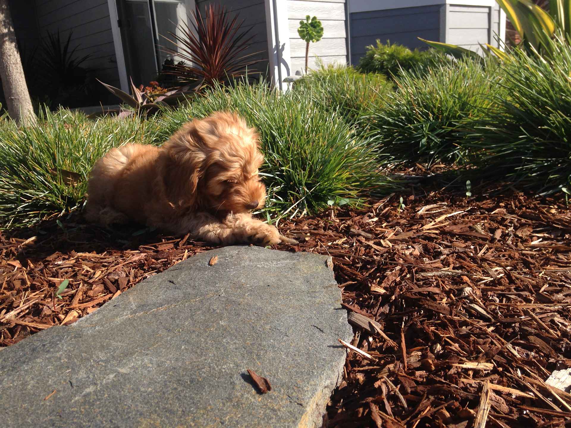 Garden Explorer