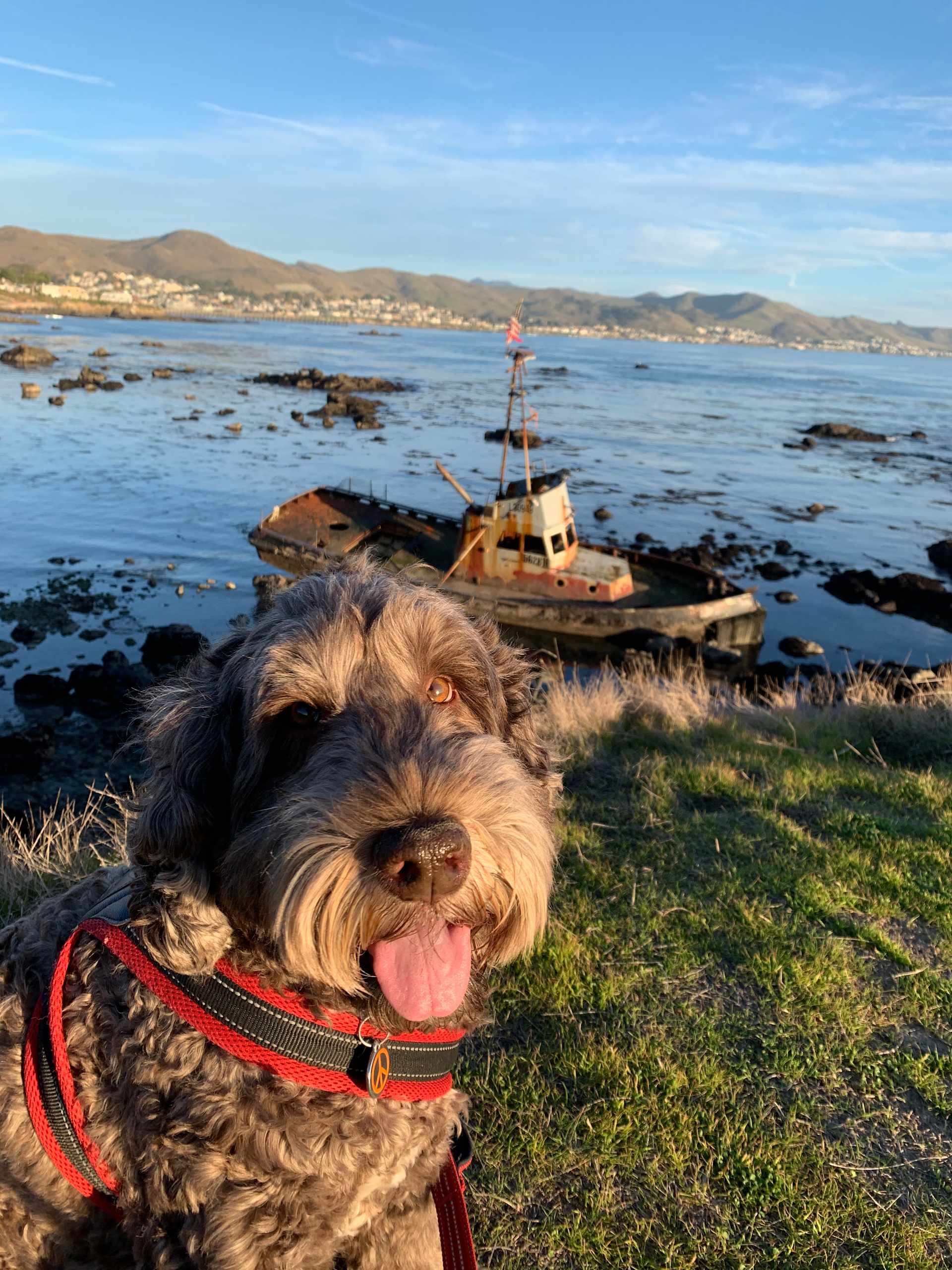 Coastal Explorer