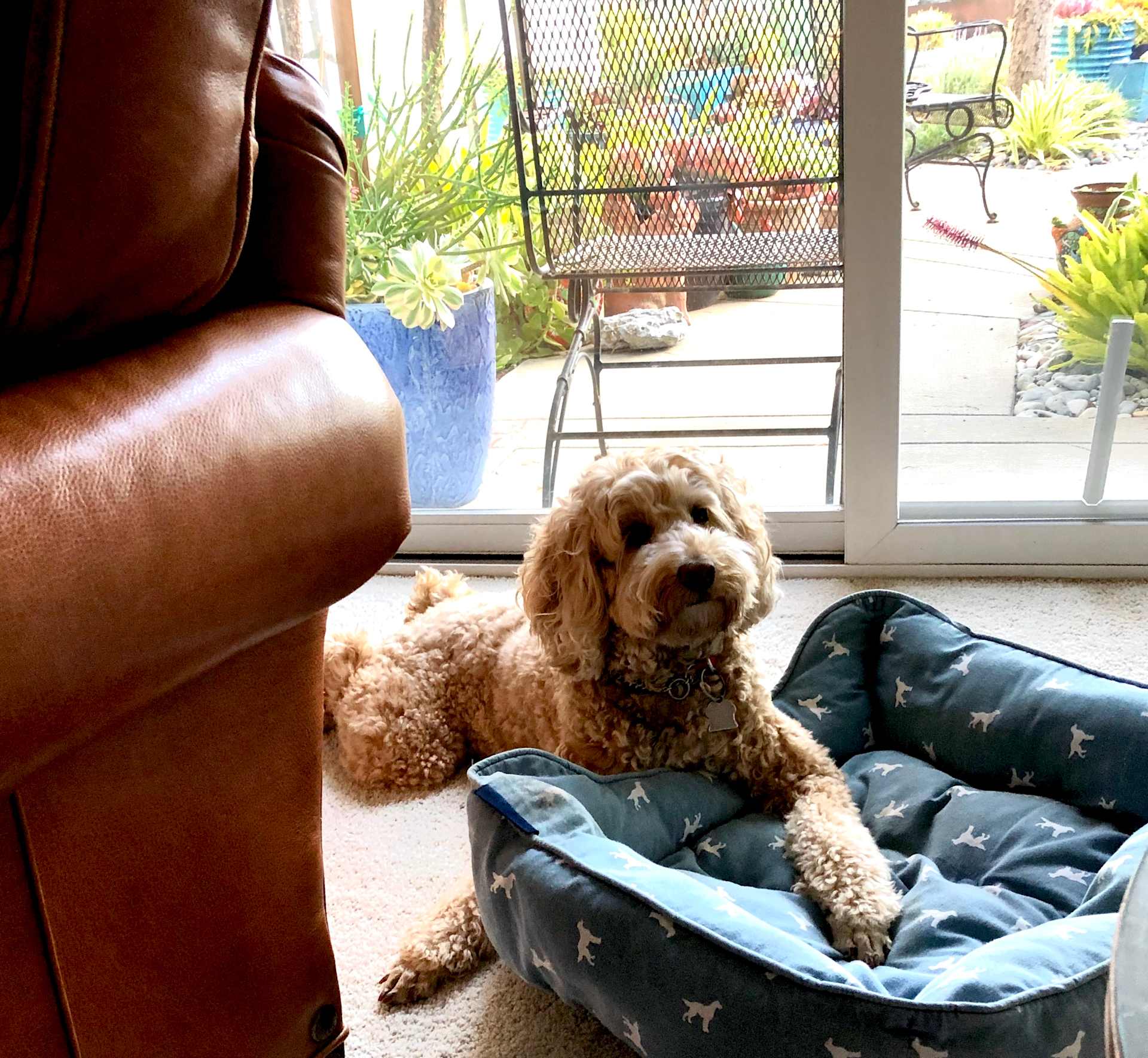 Sunlit Window Watch