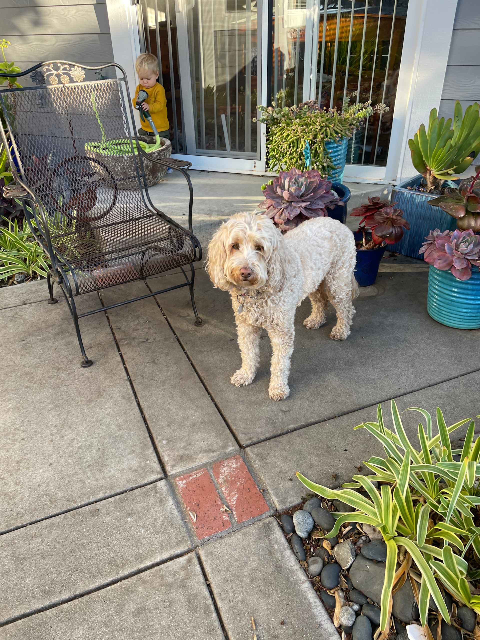 Garden Patrol