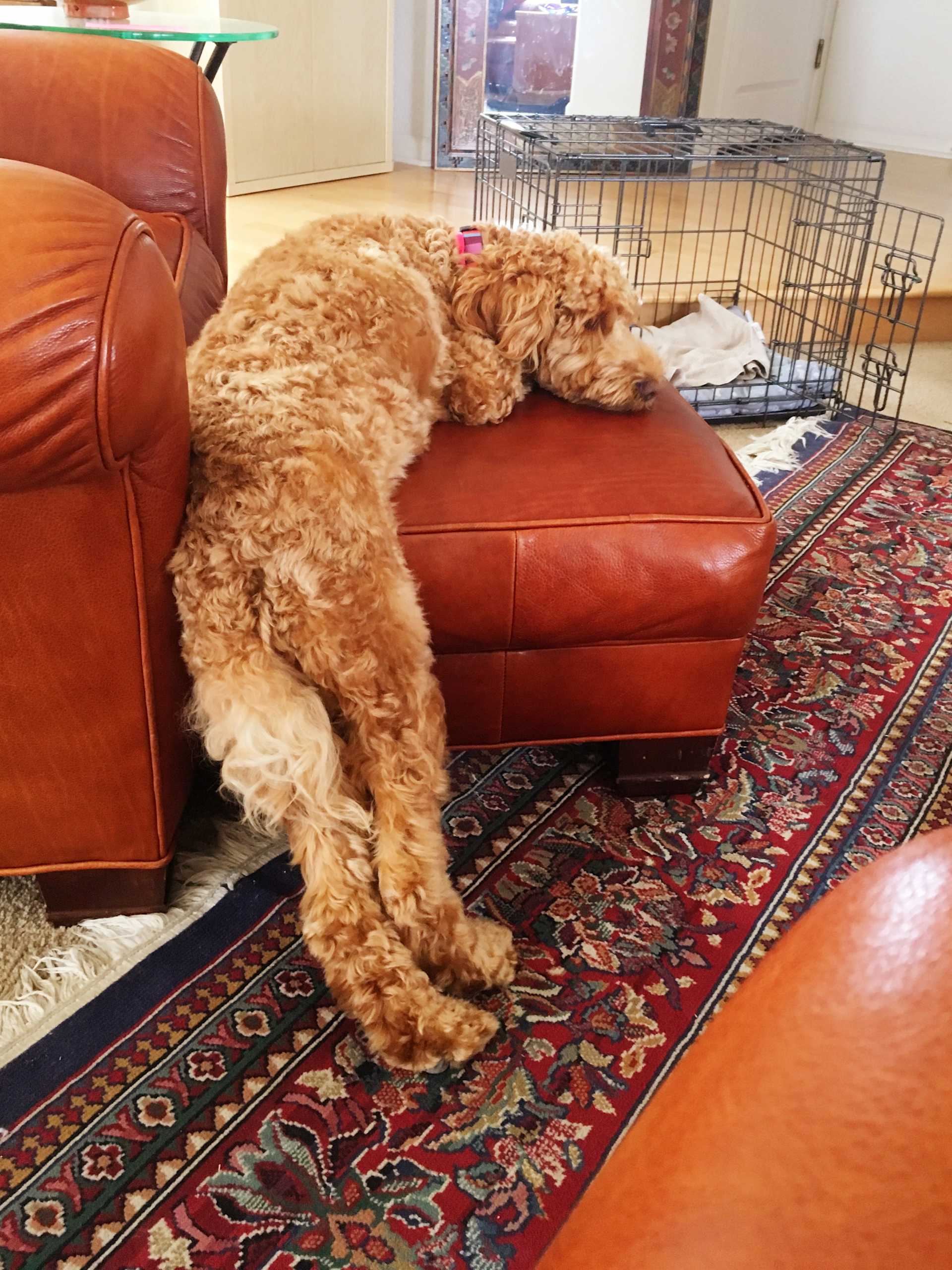 The Ottoman Drape