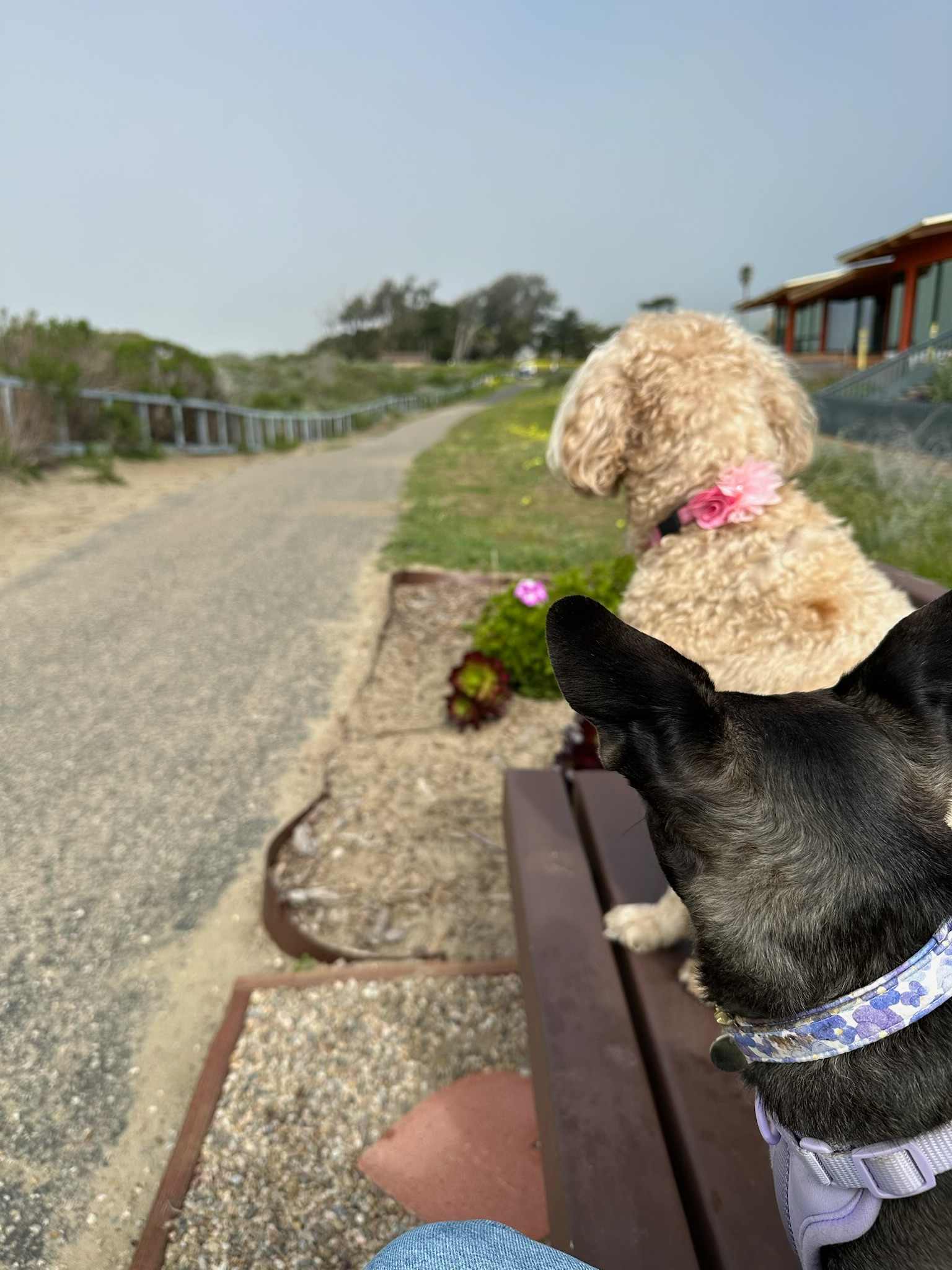Making a New Friend