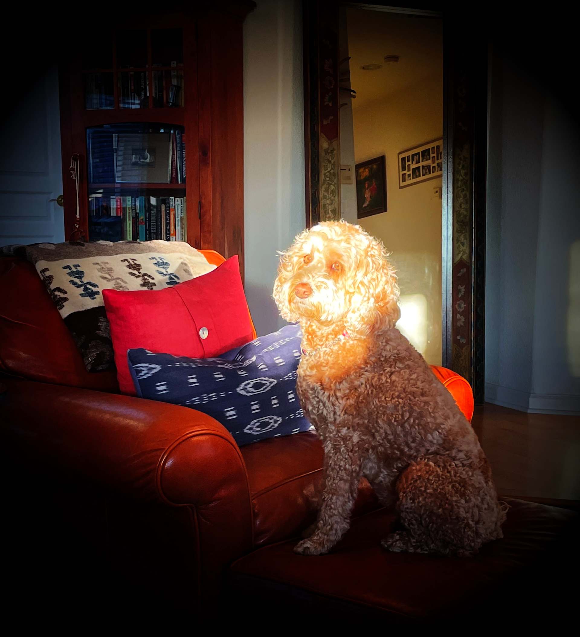 Golden Hour Guardian