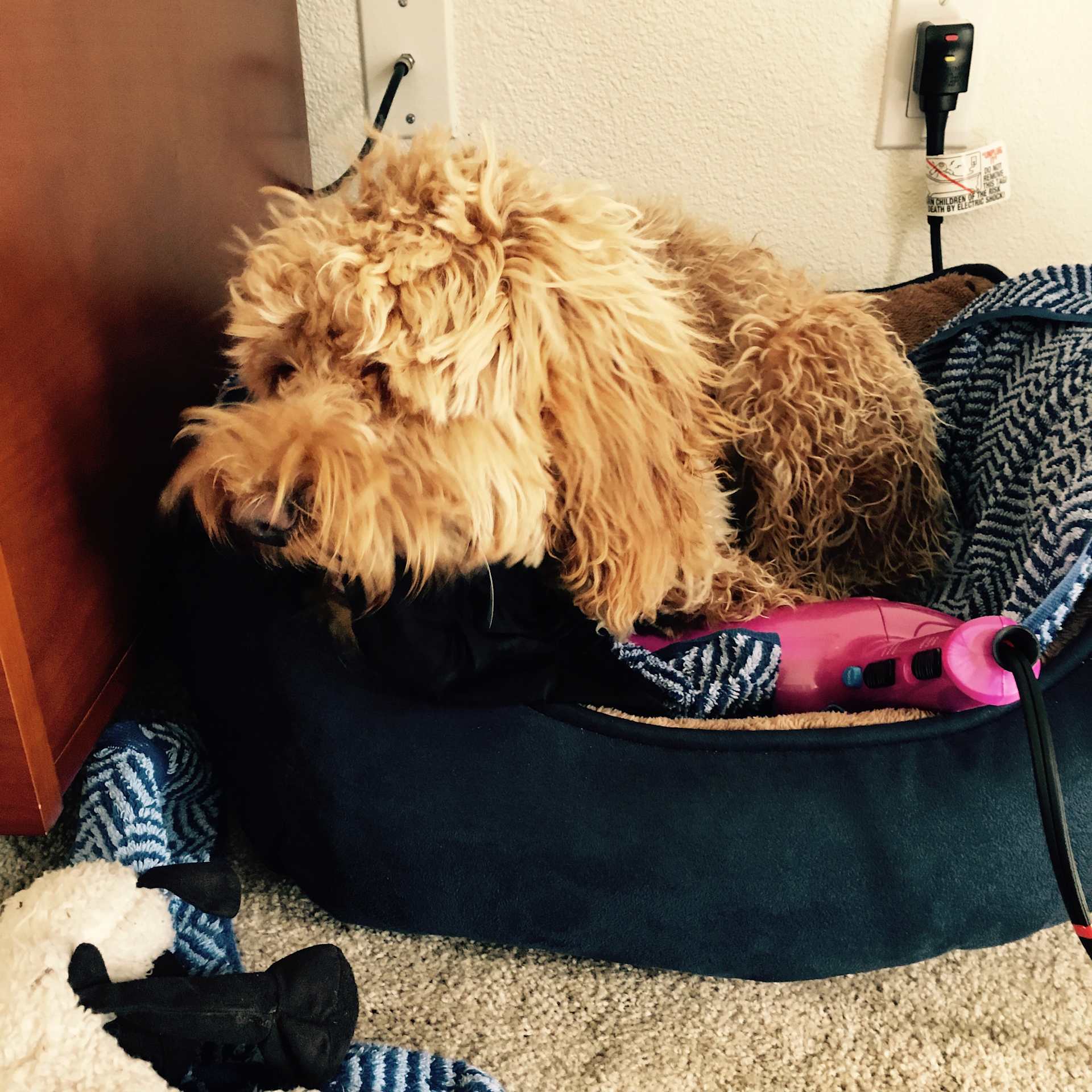 Bed Hoarder Supreme