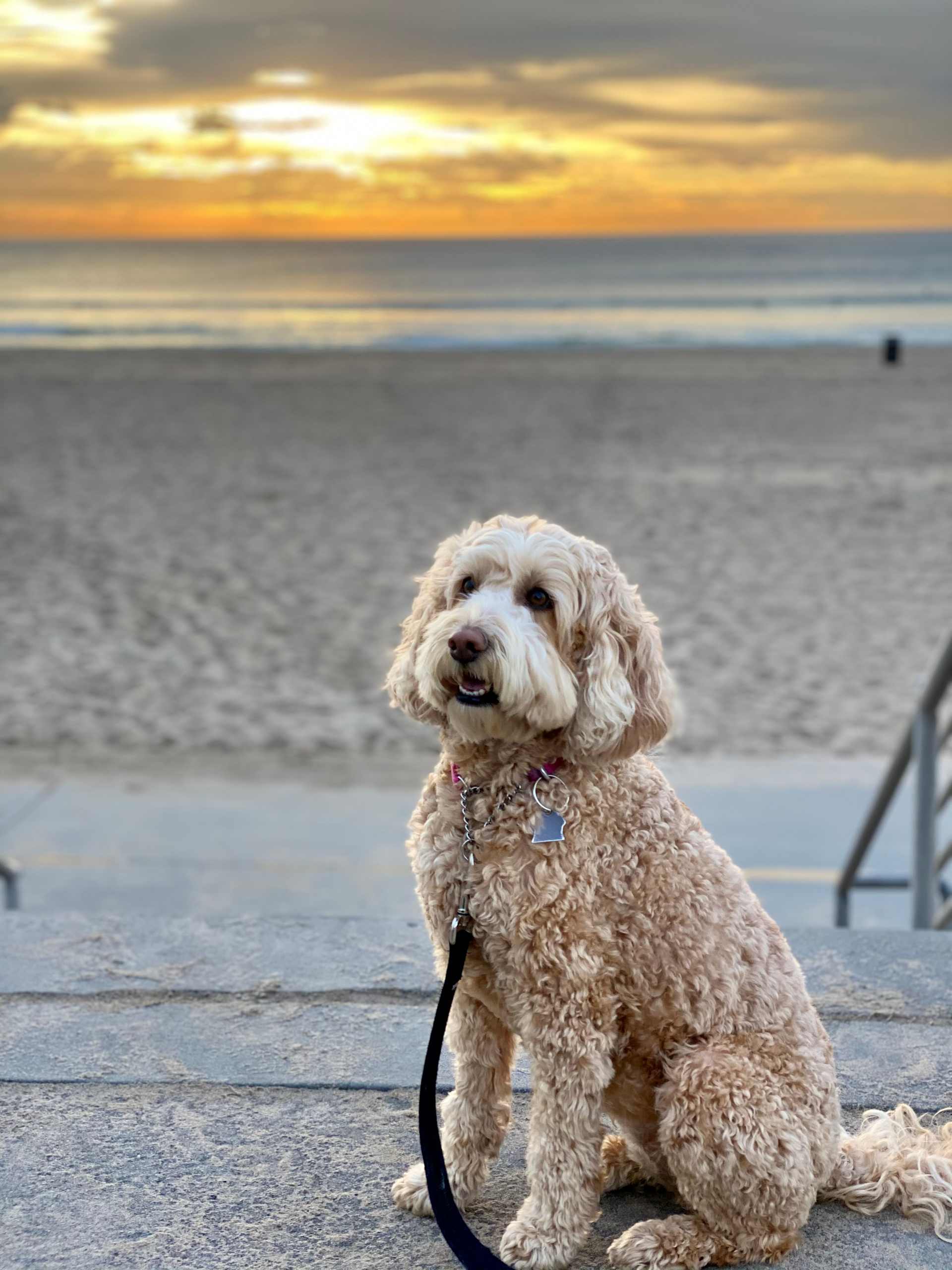 Sunset at the Shore